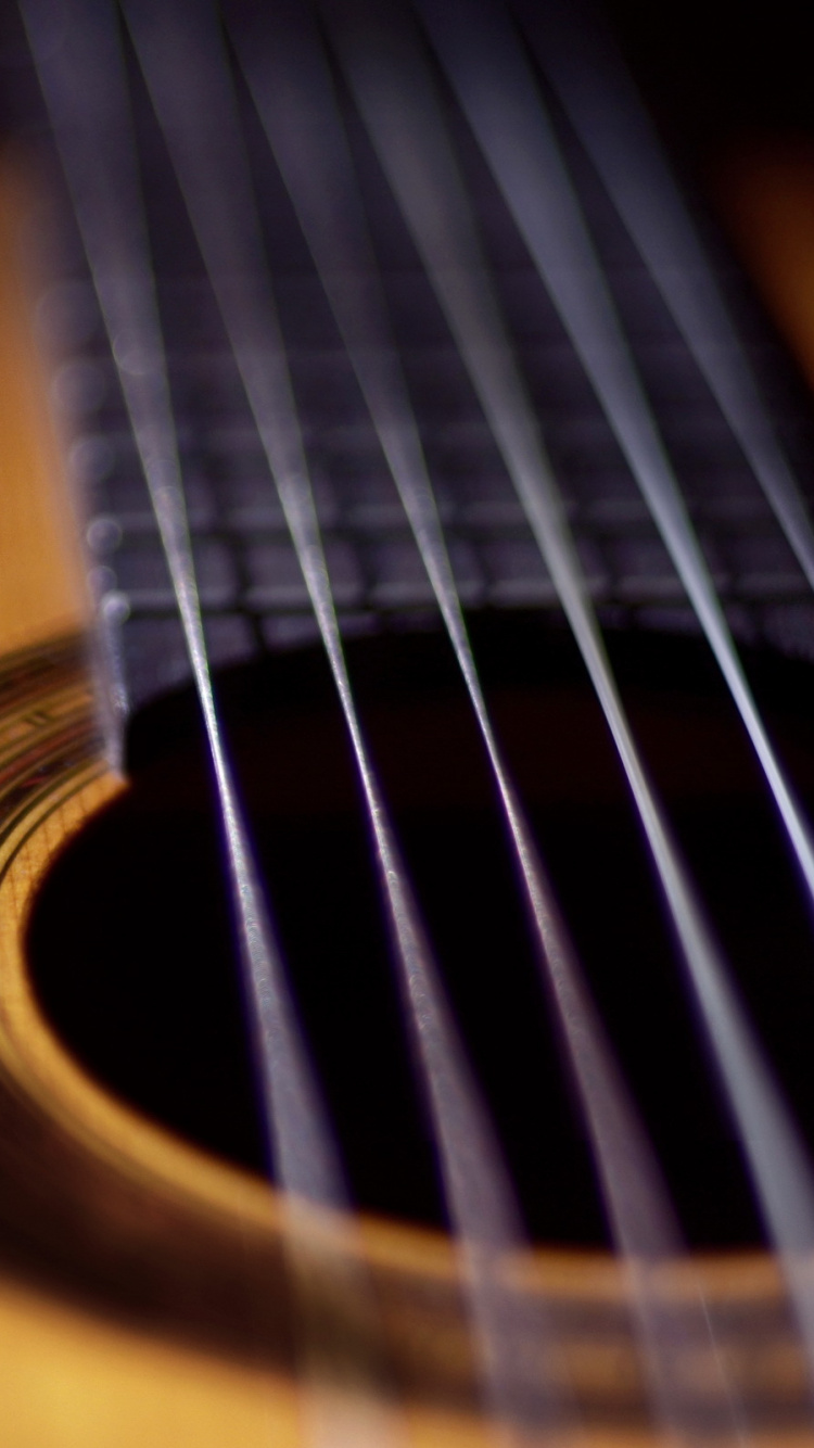 Musiker, Gezupfte Saiteninstrumente, Akustikgitarre, Musik, Bass. Wallpaper in 750x1334 Resolution