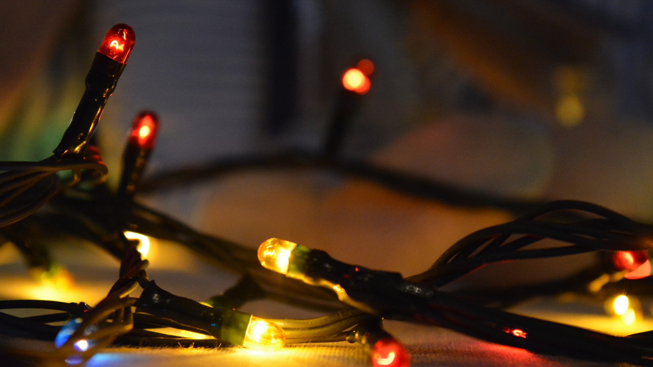 Light, Christmas Day, New Year, Lighting, Short Story. Wallpaper in 2560x1440 Resolution