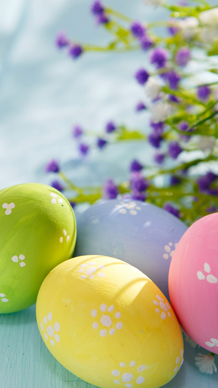 Huevo de Pascua, Pascua, Primavera. Wallpaper in 750x1334 Resolution