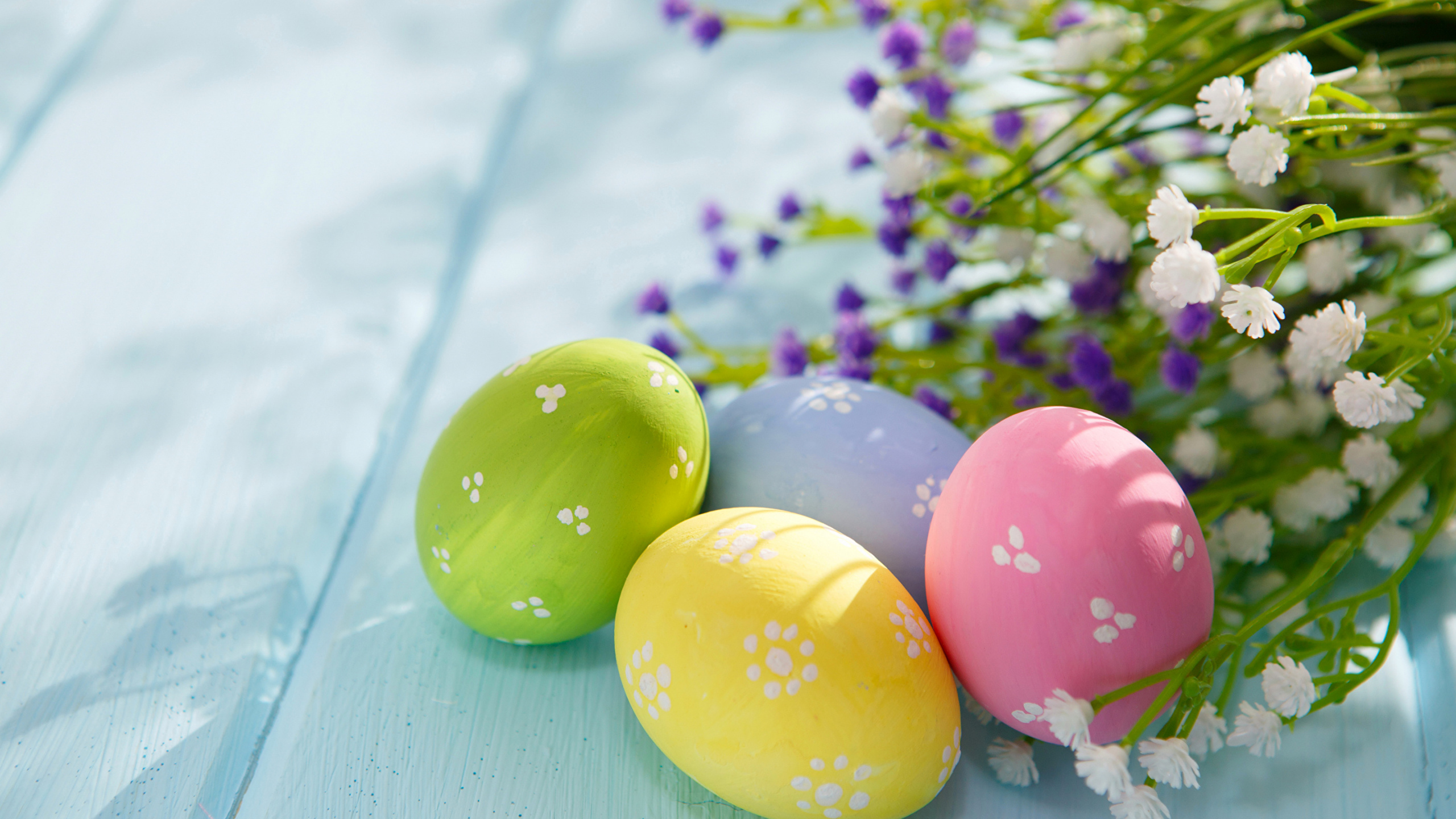 Oeuf de Pâques, Pâques, Printemps. Wallpaper in 2560x1440 Resolution