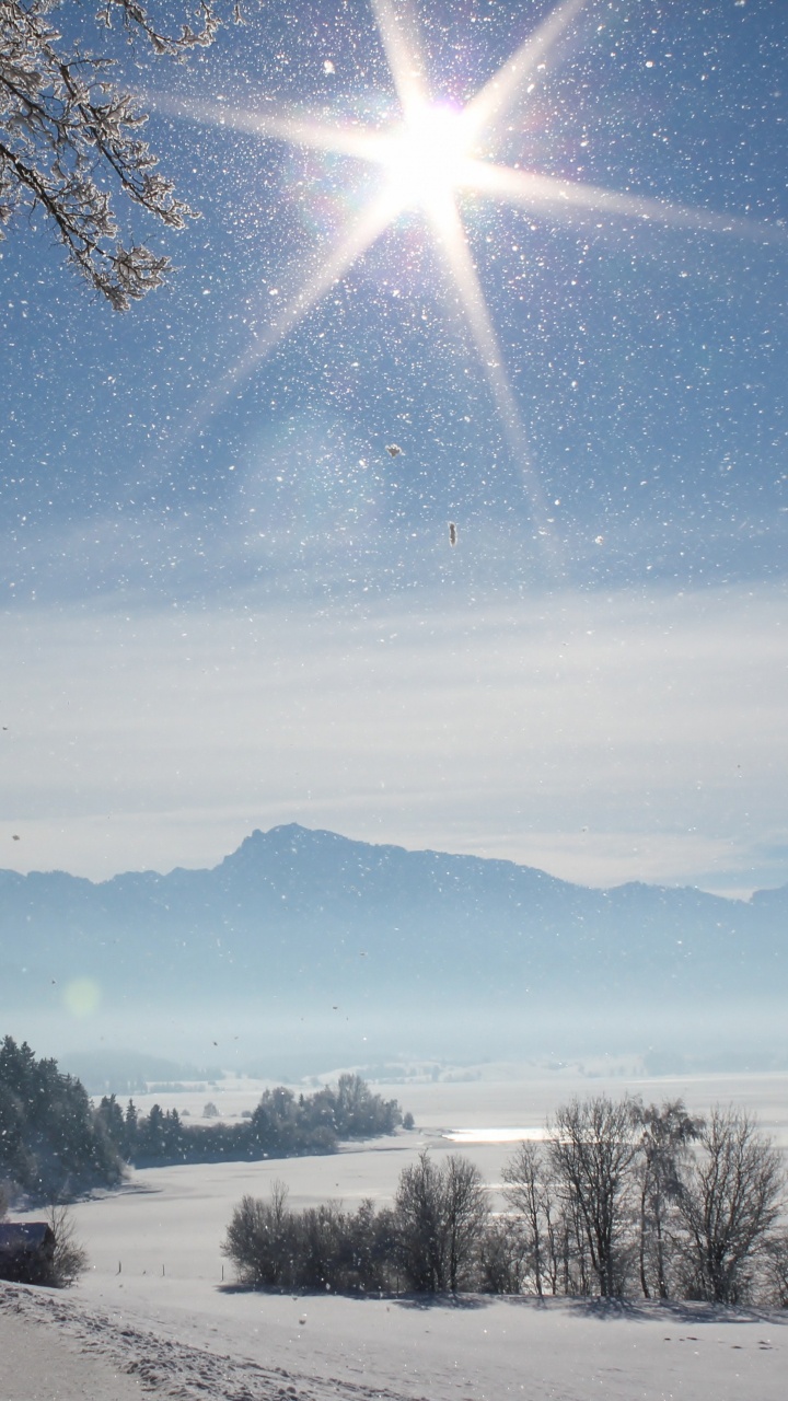Arbres Nus Sur Sol Couvert de Neige Sous Ciel Bleu Pendant la Journée. Wallpaper in 720x1280 Resolution