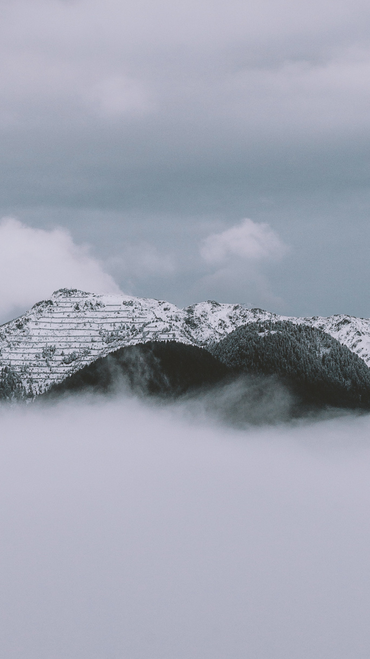 Palette, Eau, la Peinture de Paysage, le Relief Glaciaire, Neige. Wallpaper in 750x1334 Resolution