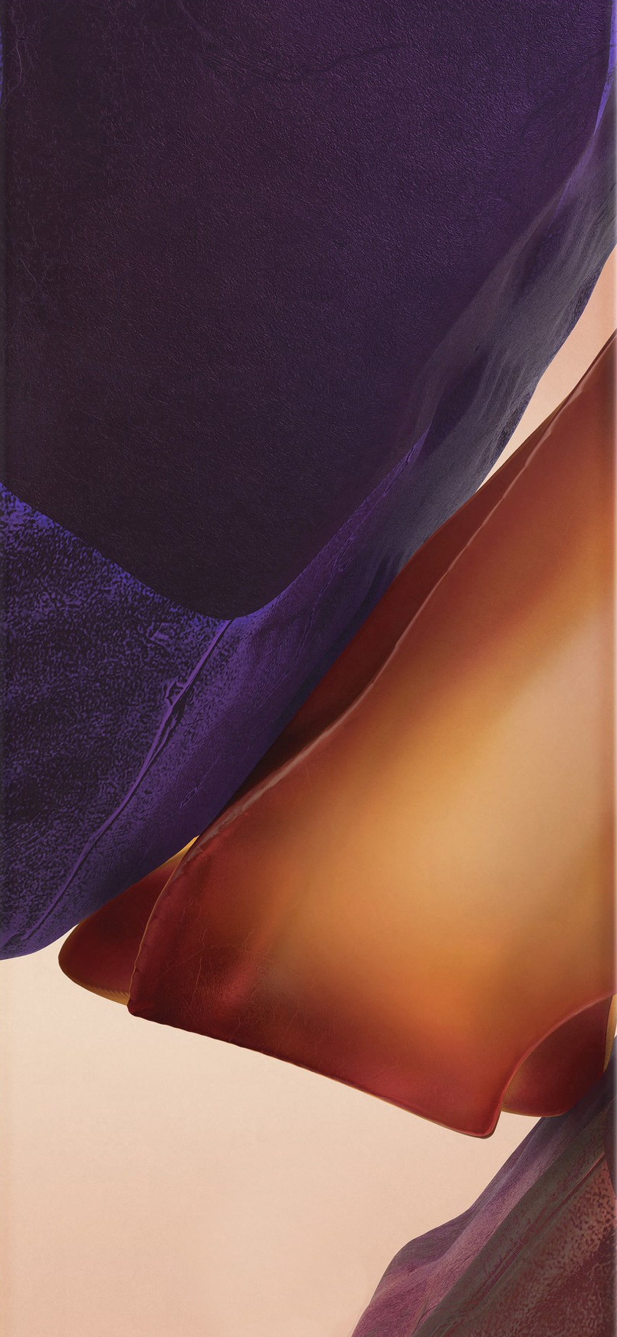 Samsung Galaxy, Samsung, Samsung Galaxy Note 20, Smartphone, Android. Wallpaper in 1242x2688 Resolution