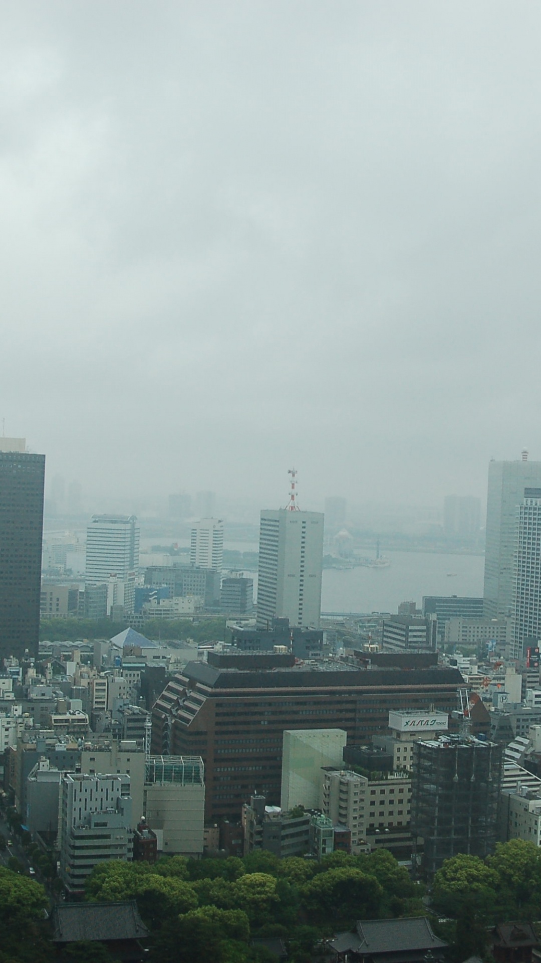 City Buildings Under White Sky During Daytime. Wallpaper in 1080x1920 Resolution