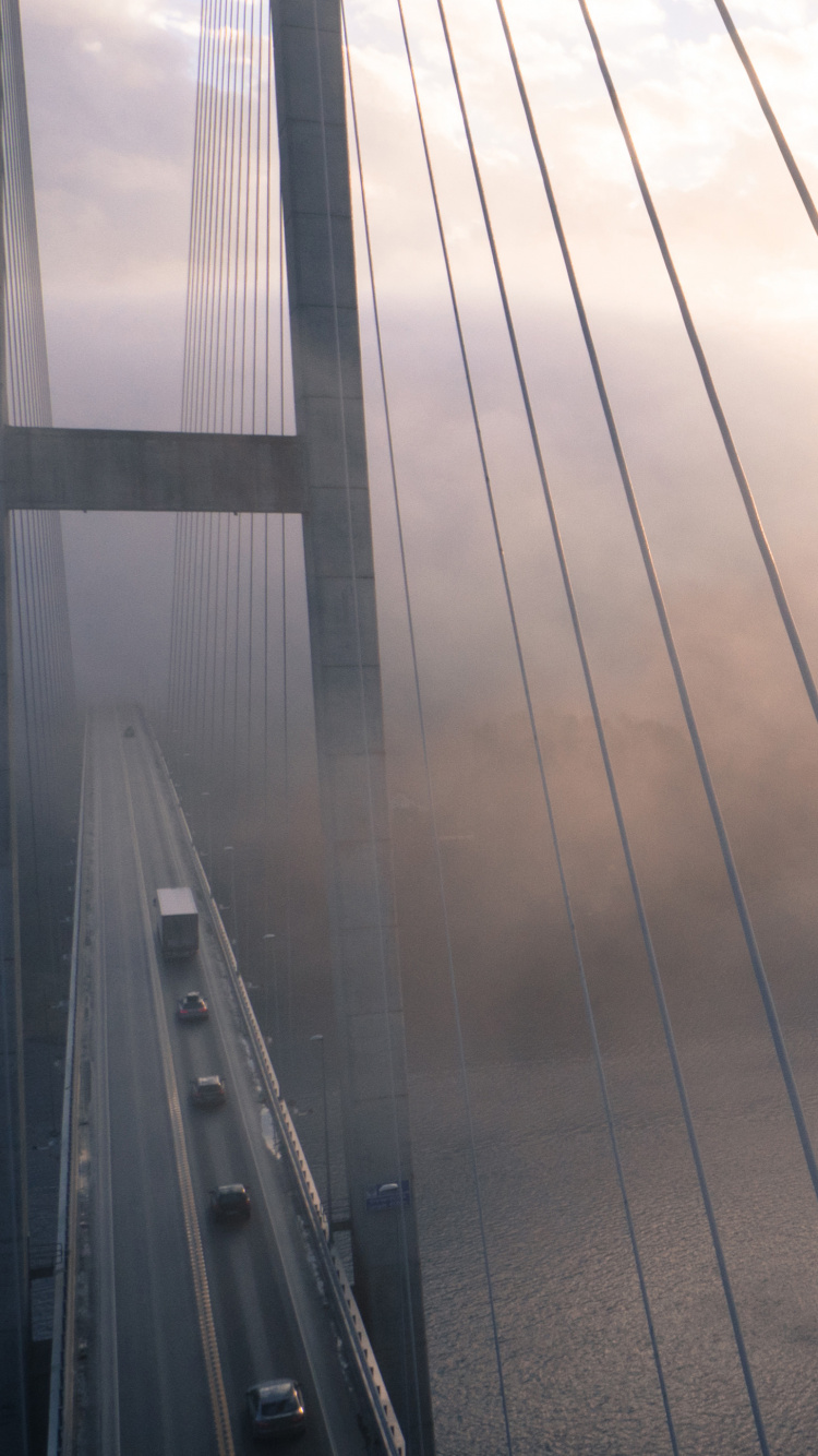 冷静, 早上, 大海, 气氛, 反射 壁纸 750x1334 允许