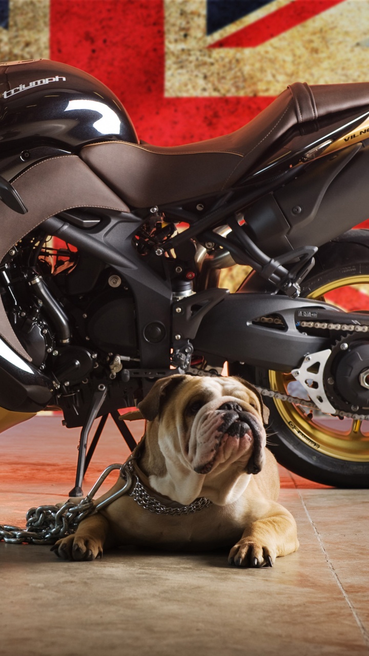 Black and Red Sports Bike. Wallpaper in 720x1280 Resolution