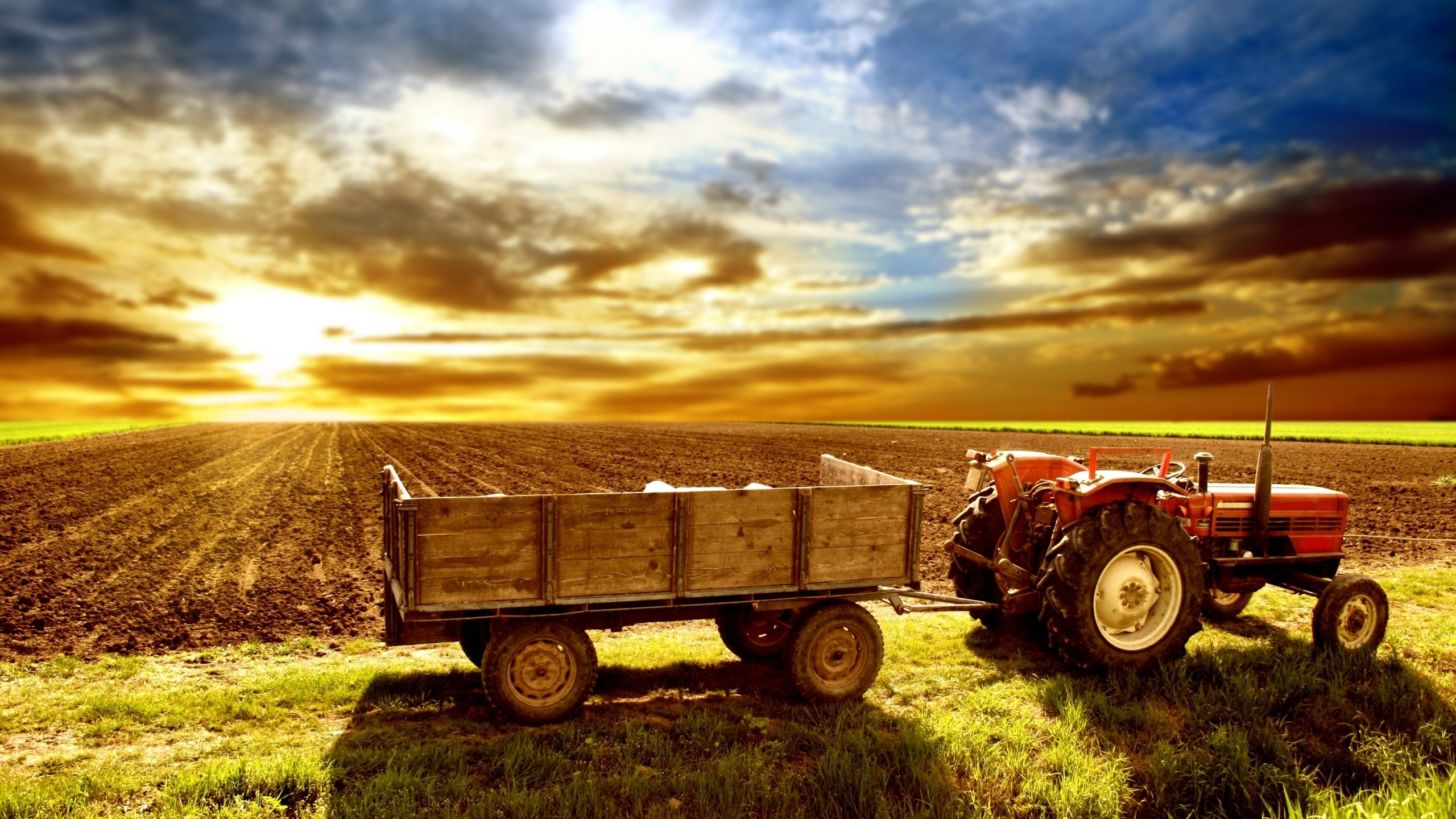 Red Tractor on Green Grass Field During Daytime. Wallpaper in 2560x1440 Resolution