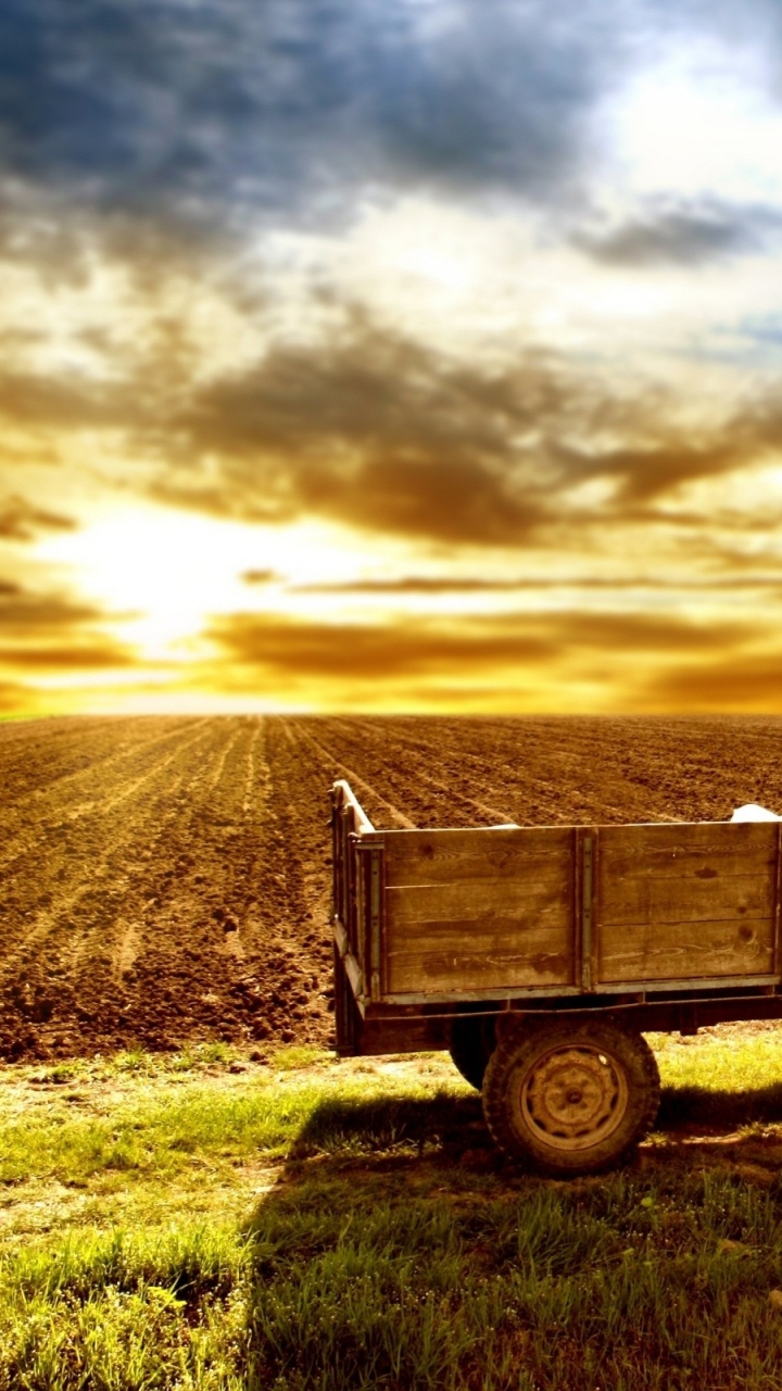 Tracteur Rouge Sur Terrain D'herbe Verte Pendant la Journée. Wallpaper in 720x1280 Resolution