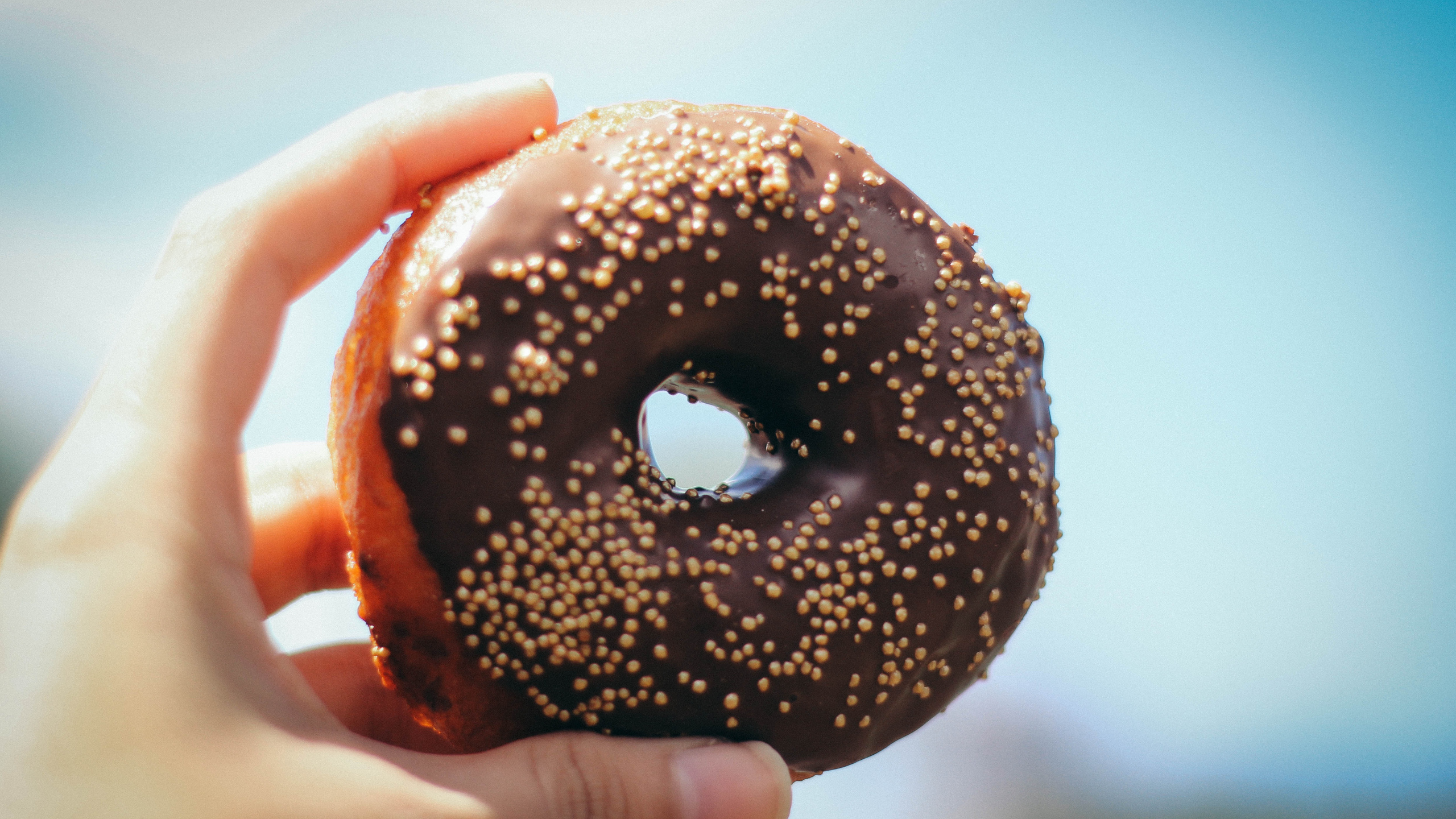 Rosquilla de Chocolate Con Chispitas Encima. Wallpaper in 2560x1440 Resolution