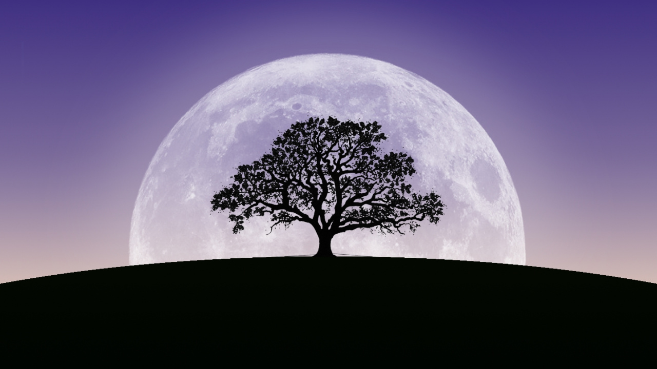 Erde, Atmosphäre, Mond, Ökoregion, Crescent. Wallpaper in 1280x720 Resolution