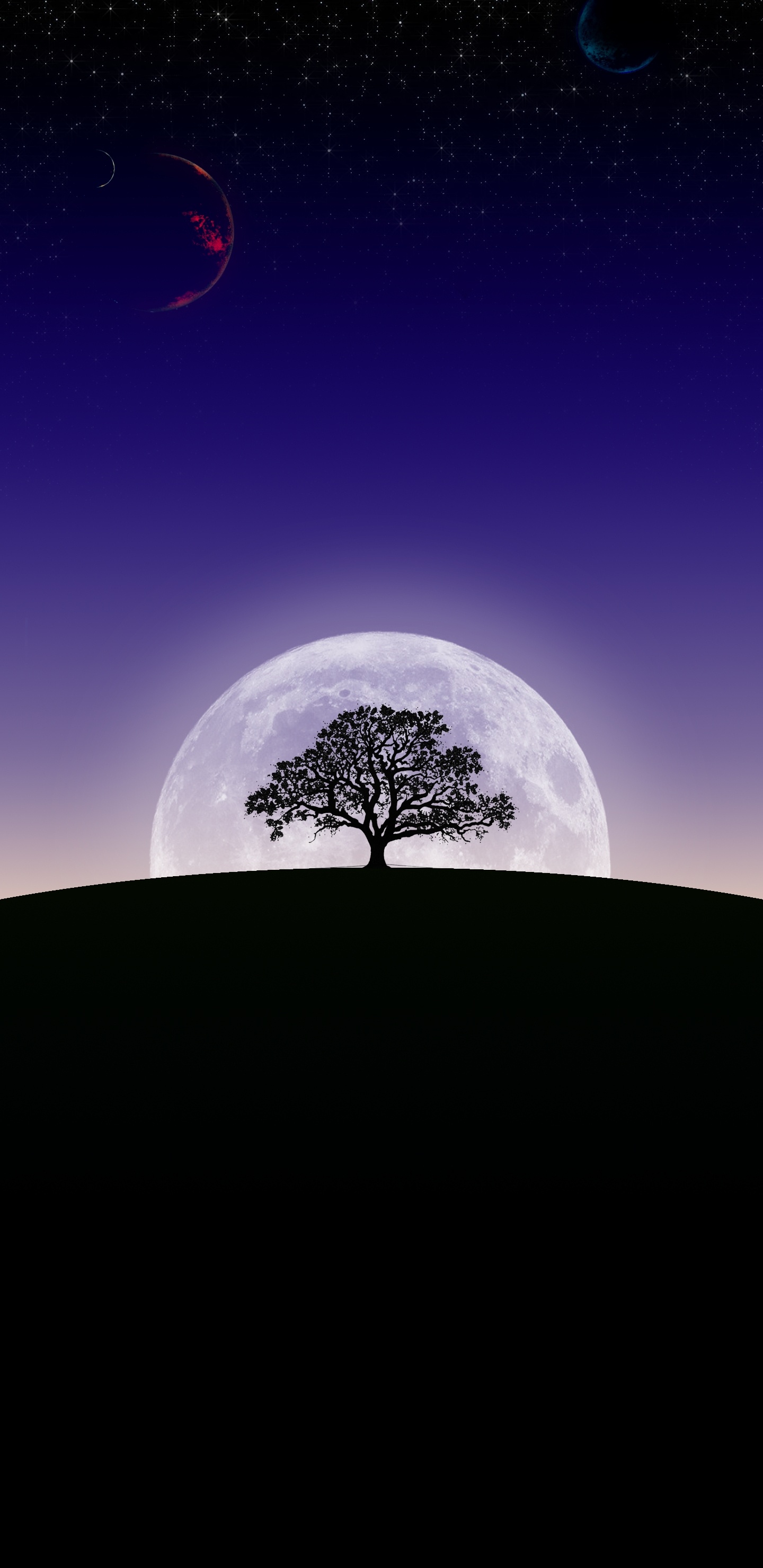 Erde, Atmosphäre, Mond, Ökoregion, Crescent. Wallpaper in 1440x2960 Resolution