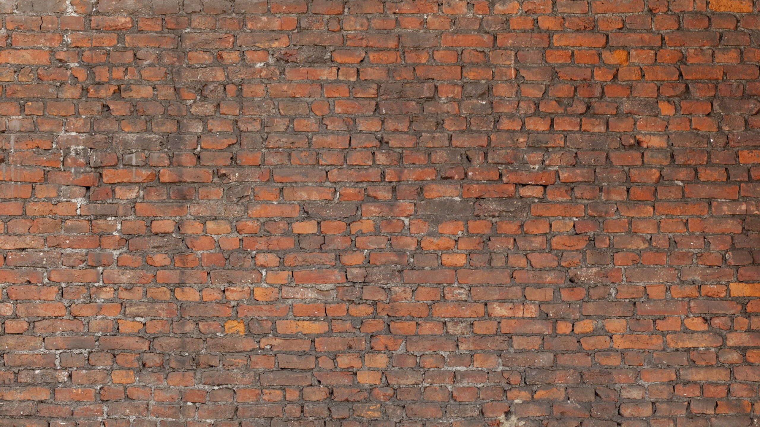 Braune Und Graue Mauer. Wallpaper in 2560x1440 Resolution