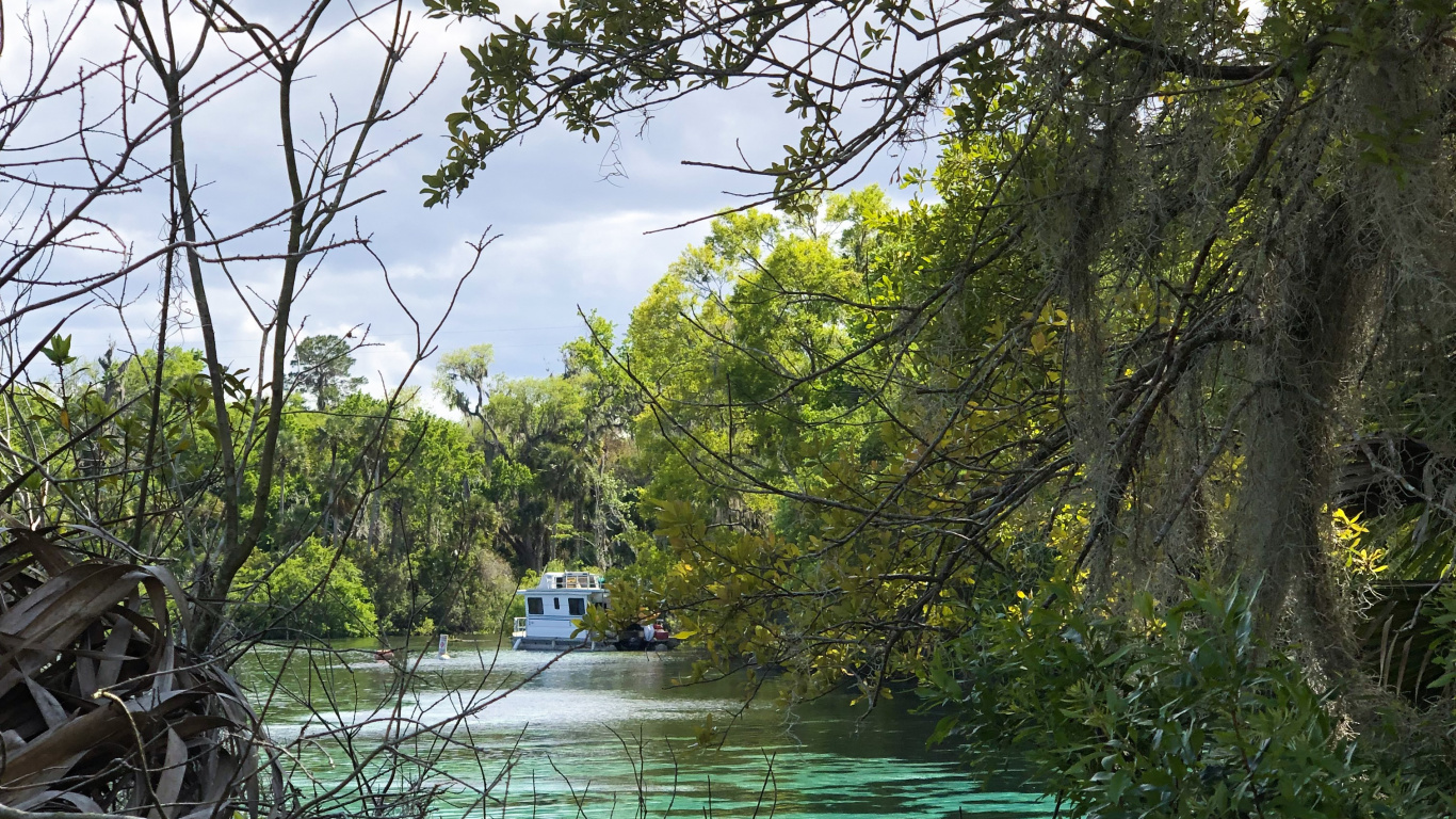 Water, Nature, Vegetation, Branch, Natural Landscape. Wallpaper in 1366x768 Resolution