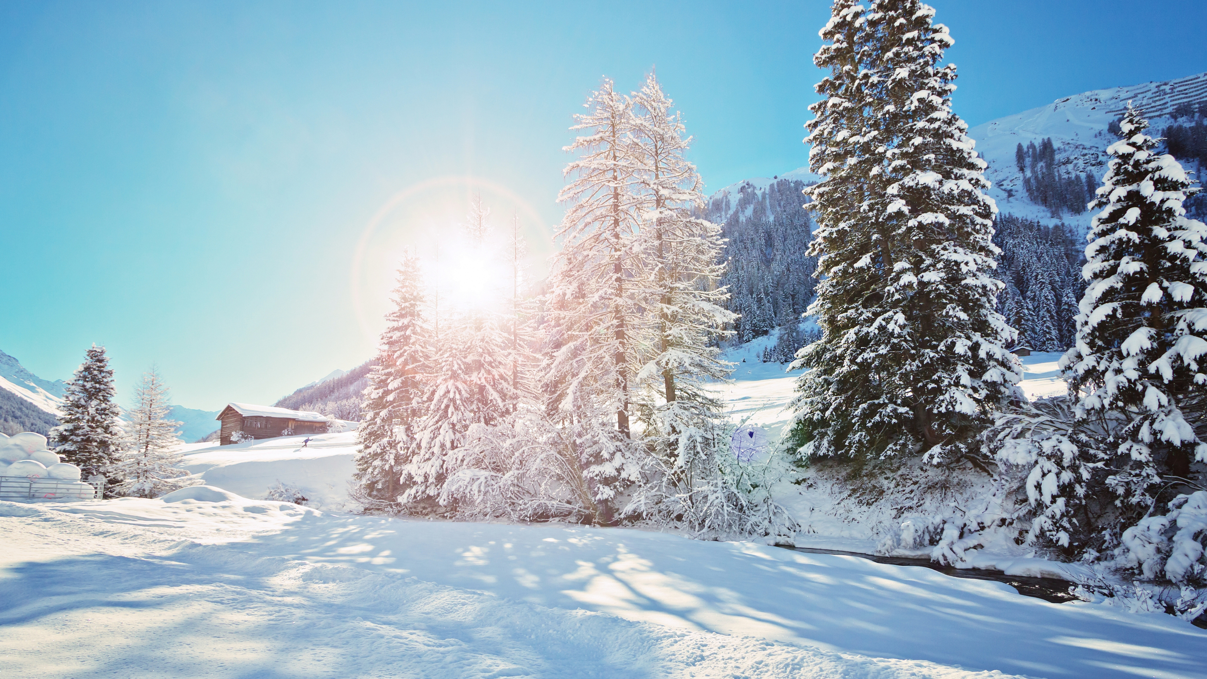 Snow Covered Pine Trees During Daytime. Wallpaper in 3840x2160 Resolution