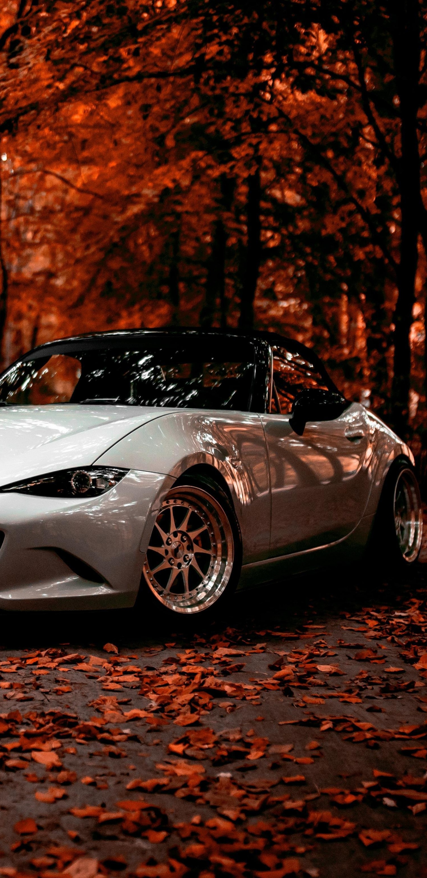 Weißer Porsche 911 Tagsüber in Der Nähe Von Braunen Bäumen Geparkt. Wallpaper in 1440x2960 Resolution