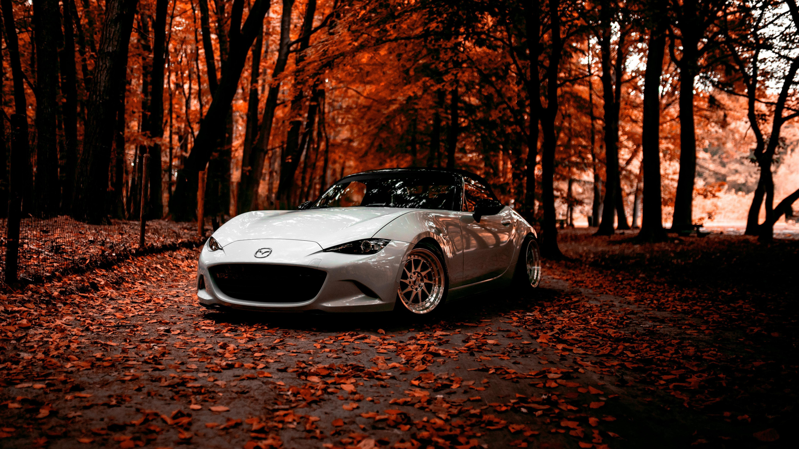 Weißer Porsche 911 Tagsüber in Der Nähe Von Braunen Bäumen Geparkt. Wallpaper in 2560x1440 Resolution