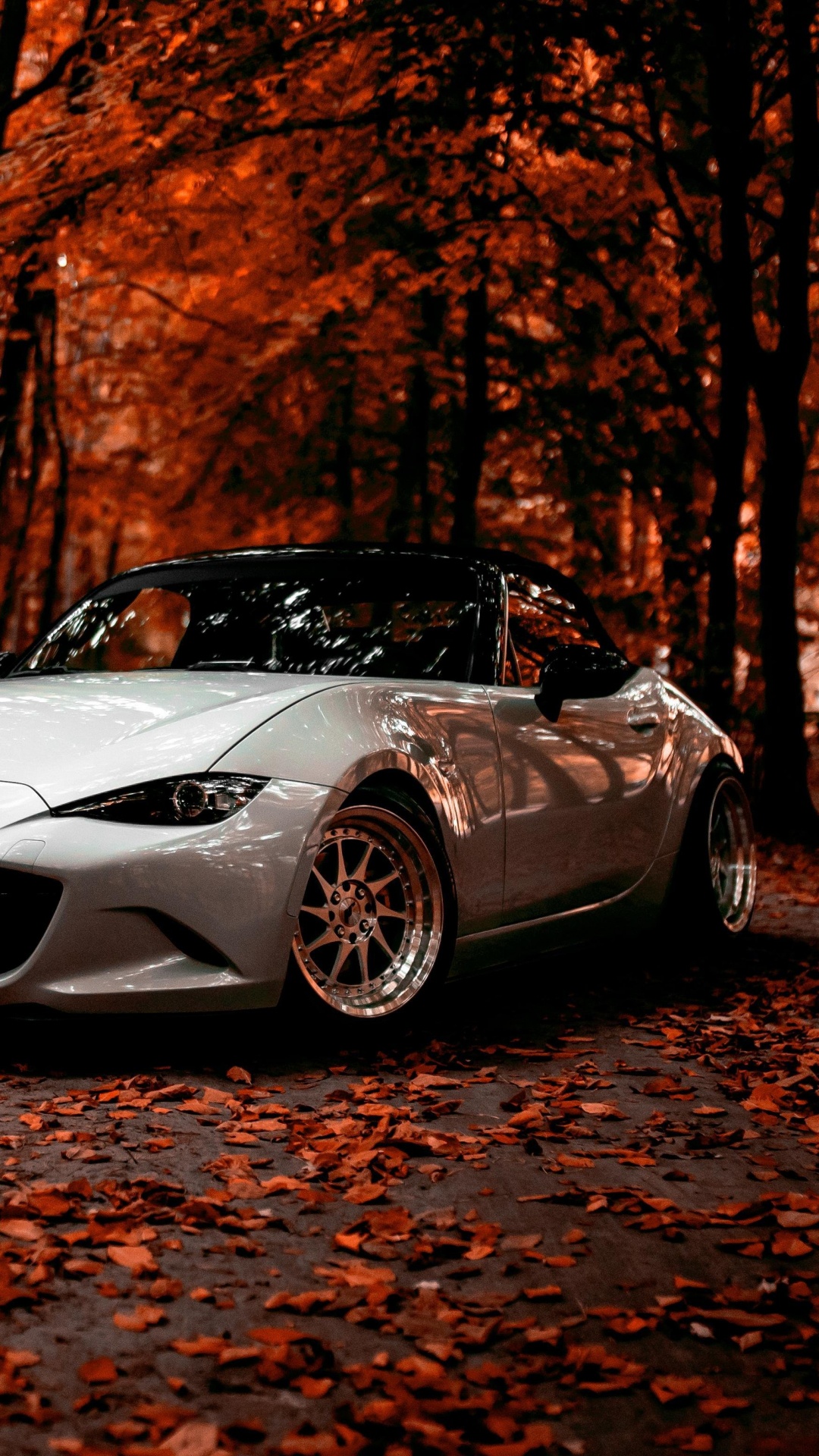 White Porsche 911 Parked Near Brown Trees During Daytime. Wallpaper in 1080x1920 Resolution