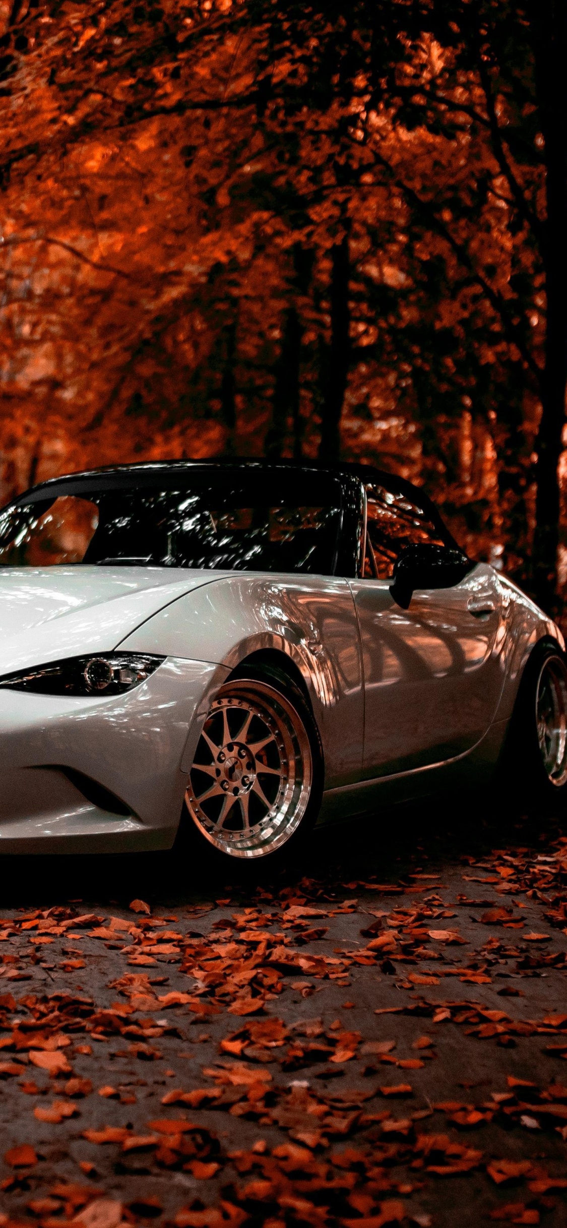 White Porsche 911 Parked Near Brown Trees During Daytime. Wallpaper in 1125x2436 Resolution