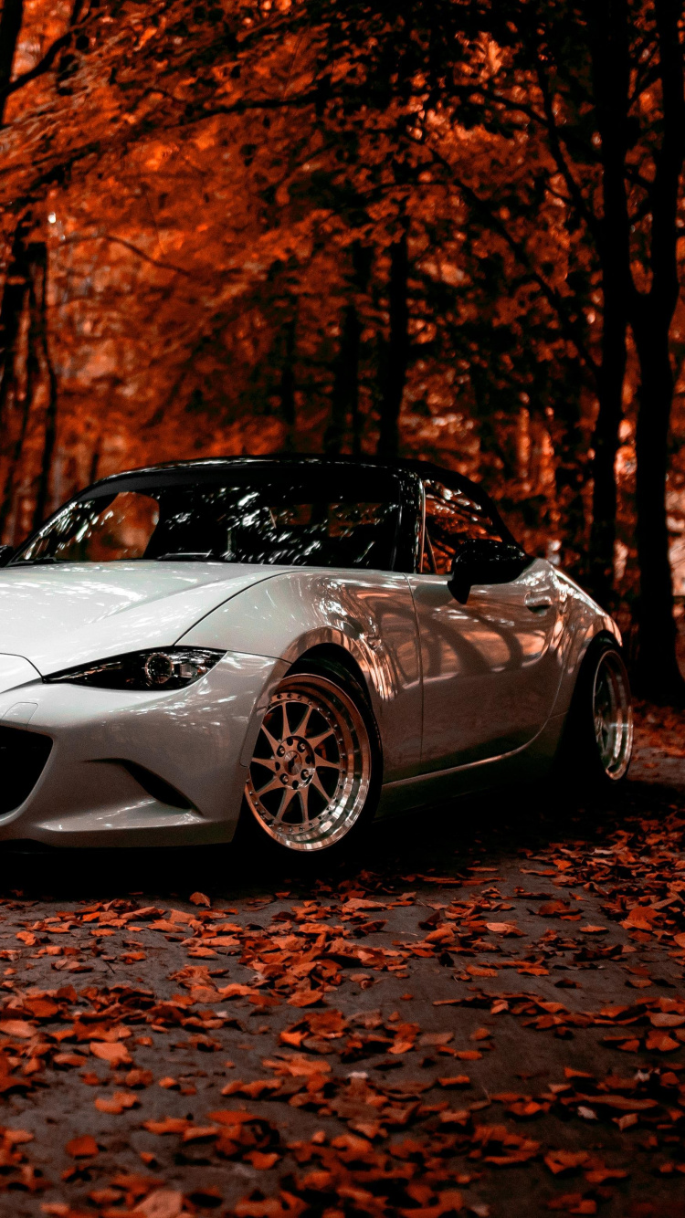 White Porsche 911 Parked Near Brown Trees During Daytime. Wallpaper in 750x1334 Resolution