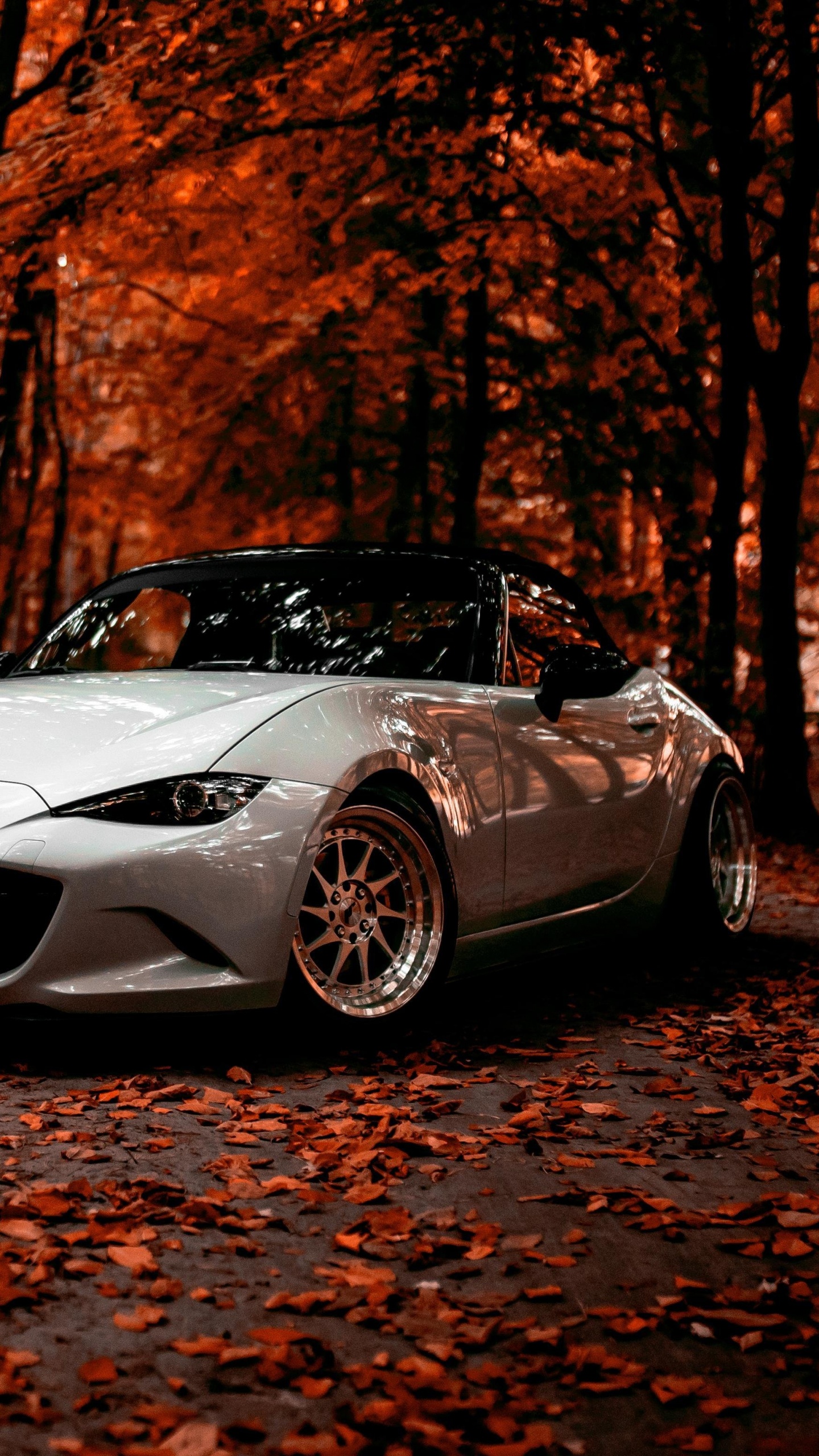 Porsche 911 Blanche Garée Près D'arbres Bruns Pendant la Journée. Wallpaper in 1440x2560 Resolution