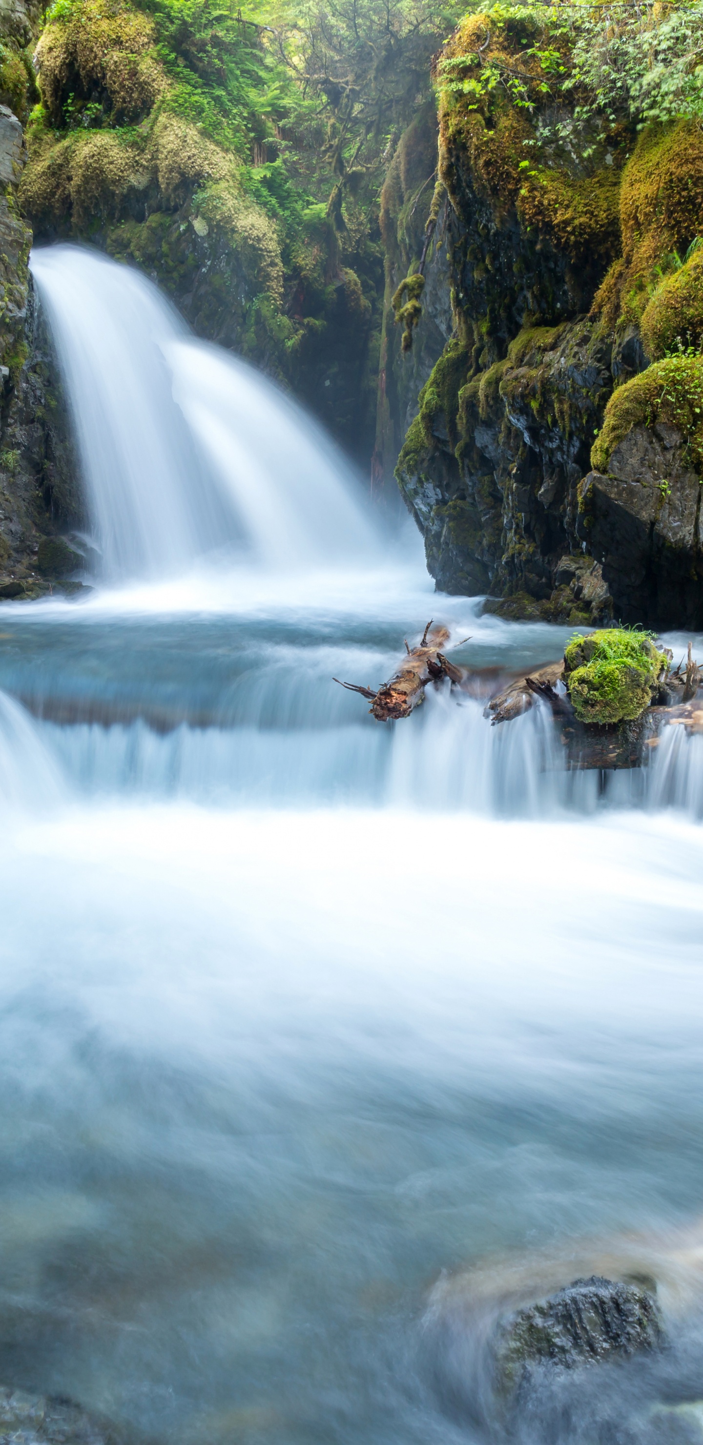 Photographie en Accéléré de Cascades. Wallpaper in 1440x2960 Resolution