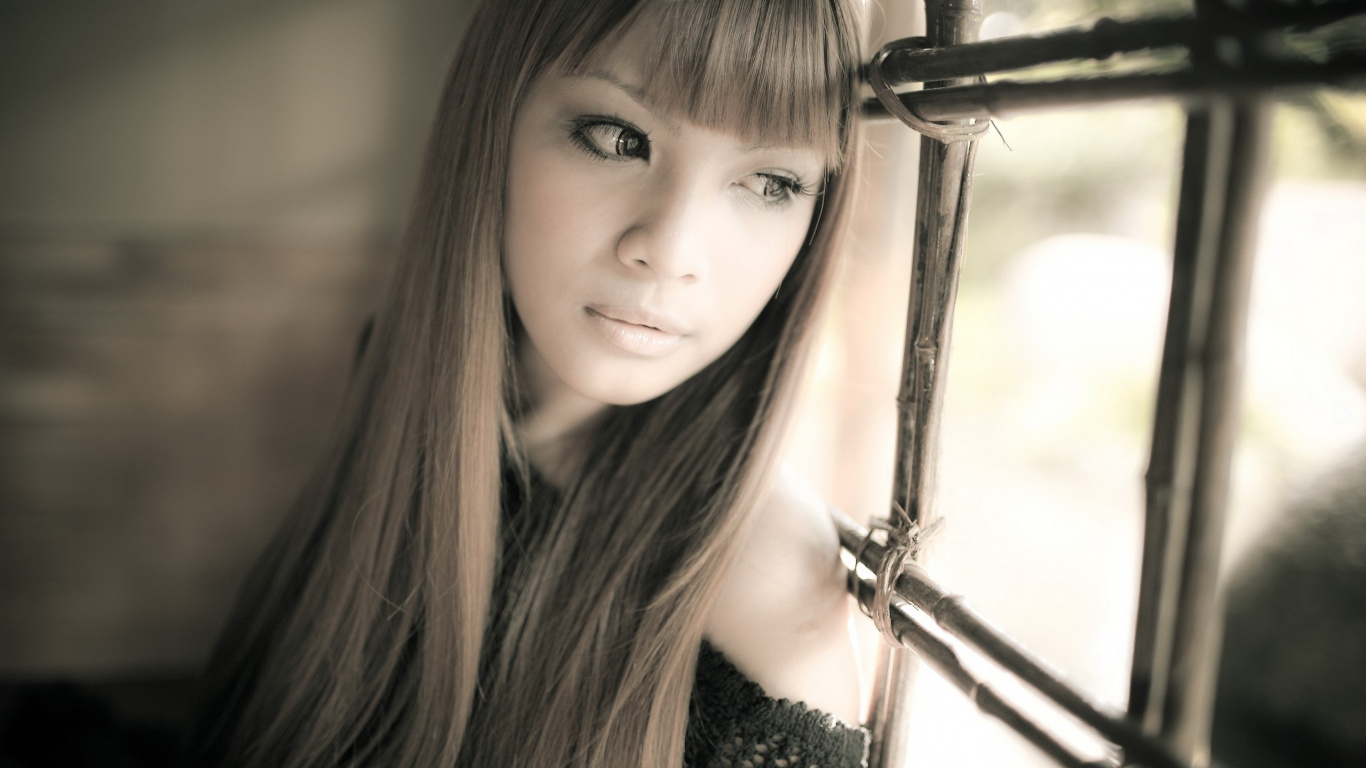 Schönheit, Frisur, Lange Haare, Dame, Mädchen. Wallpaper in 1366x768 Resolution