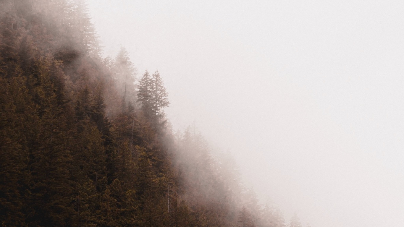 Fog, Mist, Tree, Haze, Morning. Wallpaper in 1366x768 Resolution