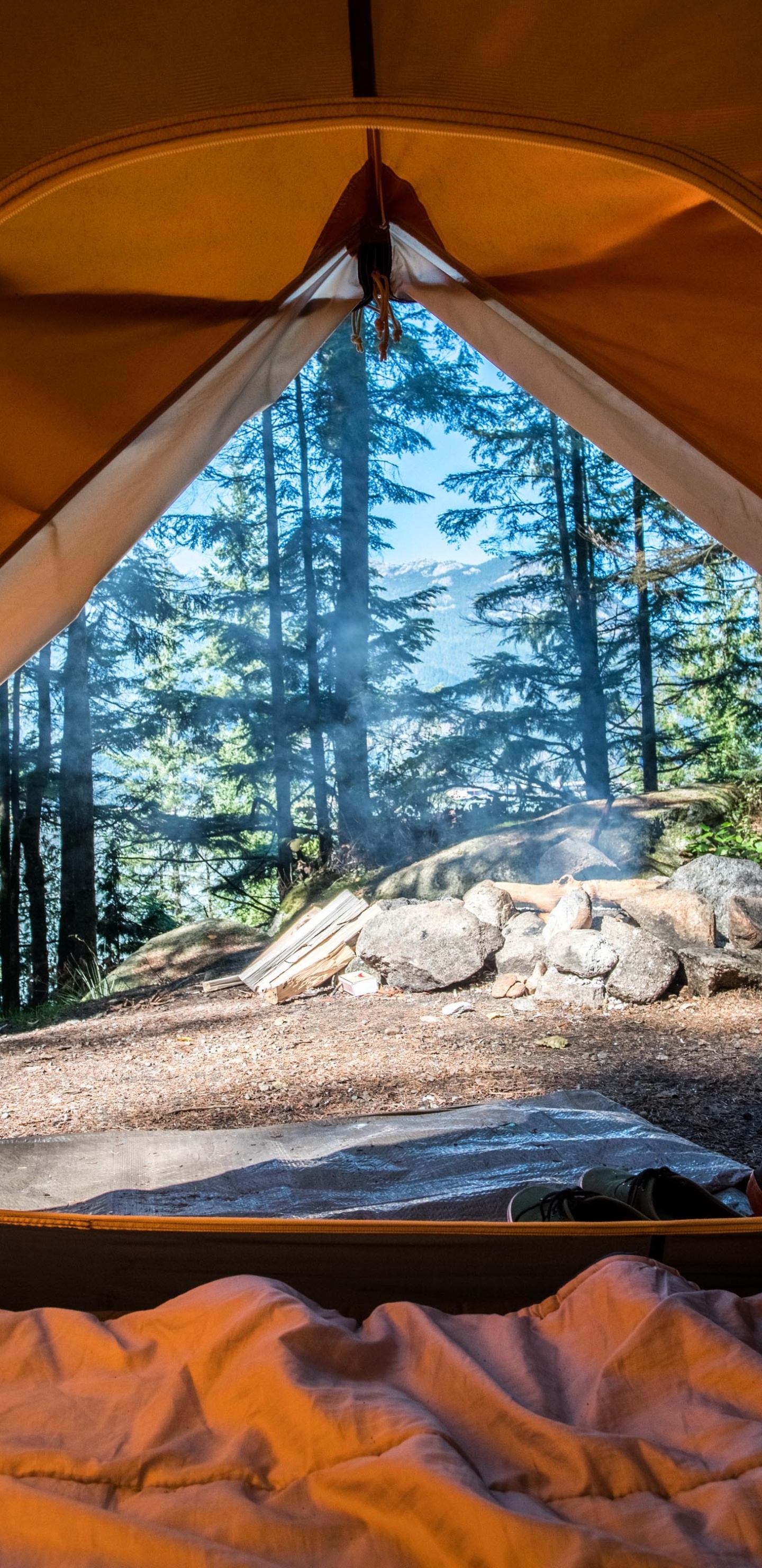 Carpa Marrón y Blanca Sobre Suelo Cubierto de Nieve Durante el Día. Wallpaper in 1440x2960 Resolution