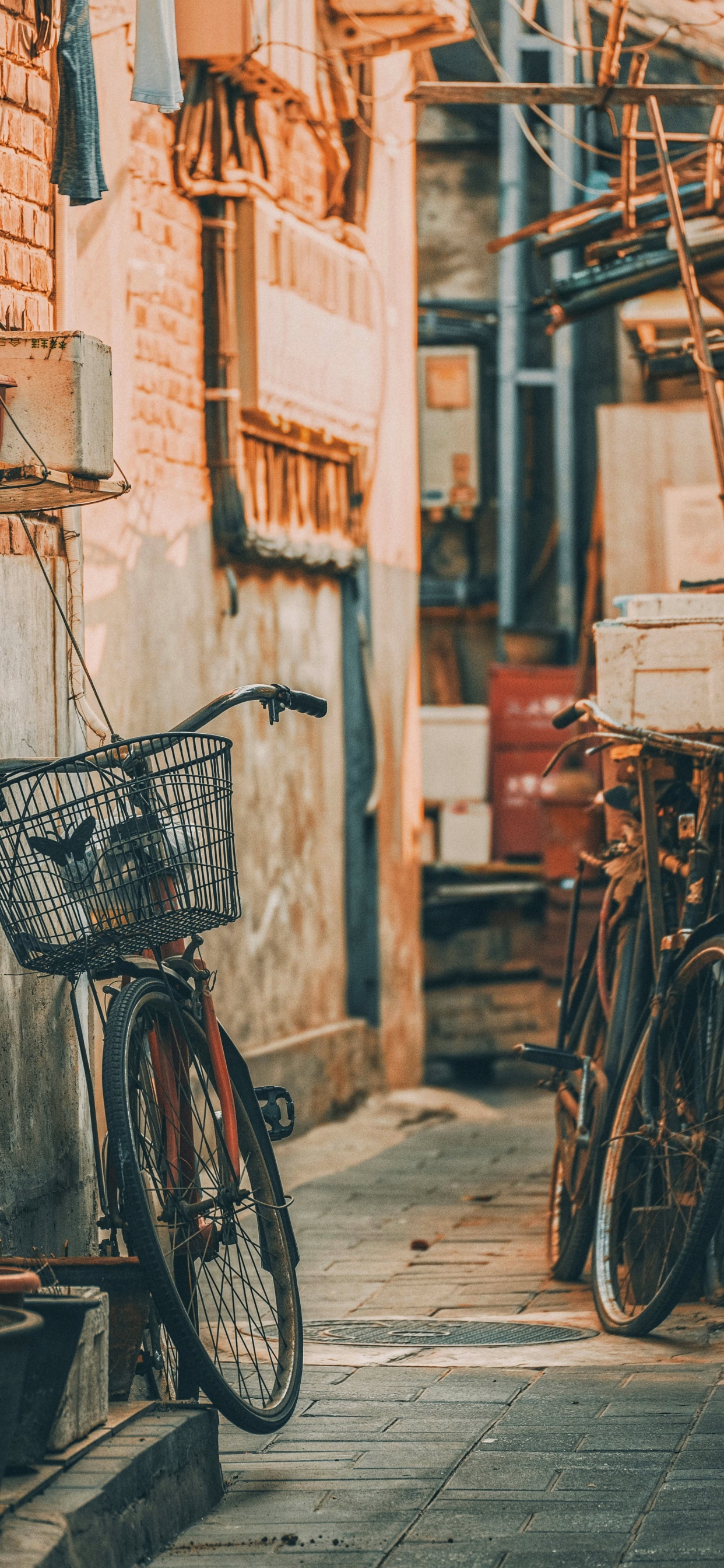 Alley, Bike, Road Bike, Bicycle, Wheel. Wallpaper in 1242x2688 Resolution