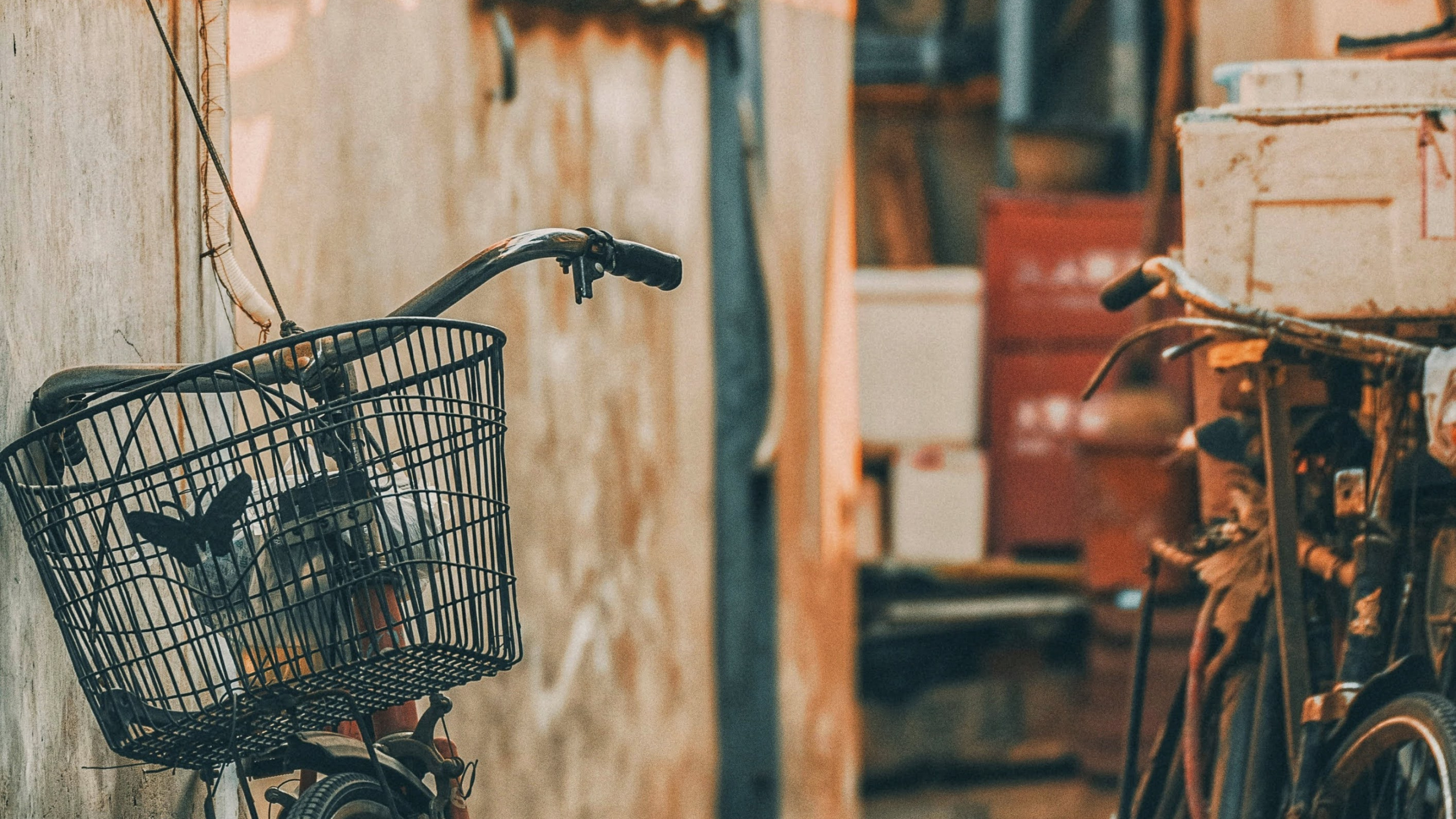 Alley, Bike, Road Bike, Bicycle, Wheel. Wallpaper in 2560x1440 Resolution