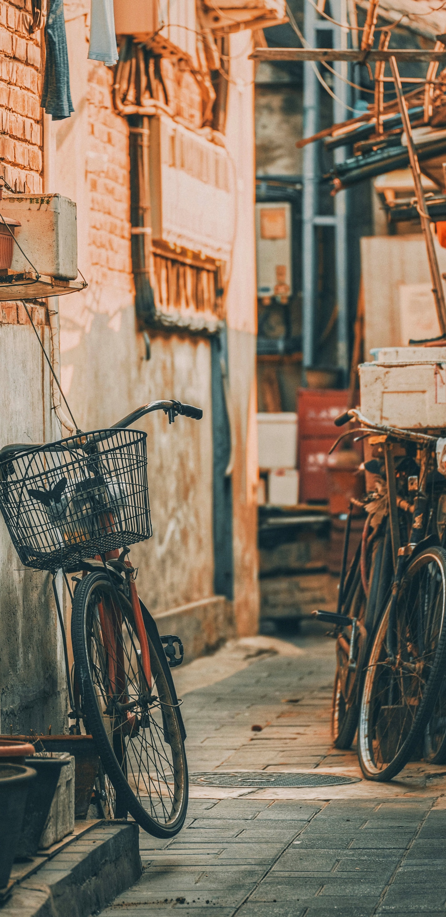 Gasse, Fahrrad, Fahrradverleih, Rad, Tire. Wallpaper in 1440x2960 Resolution