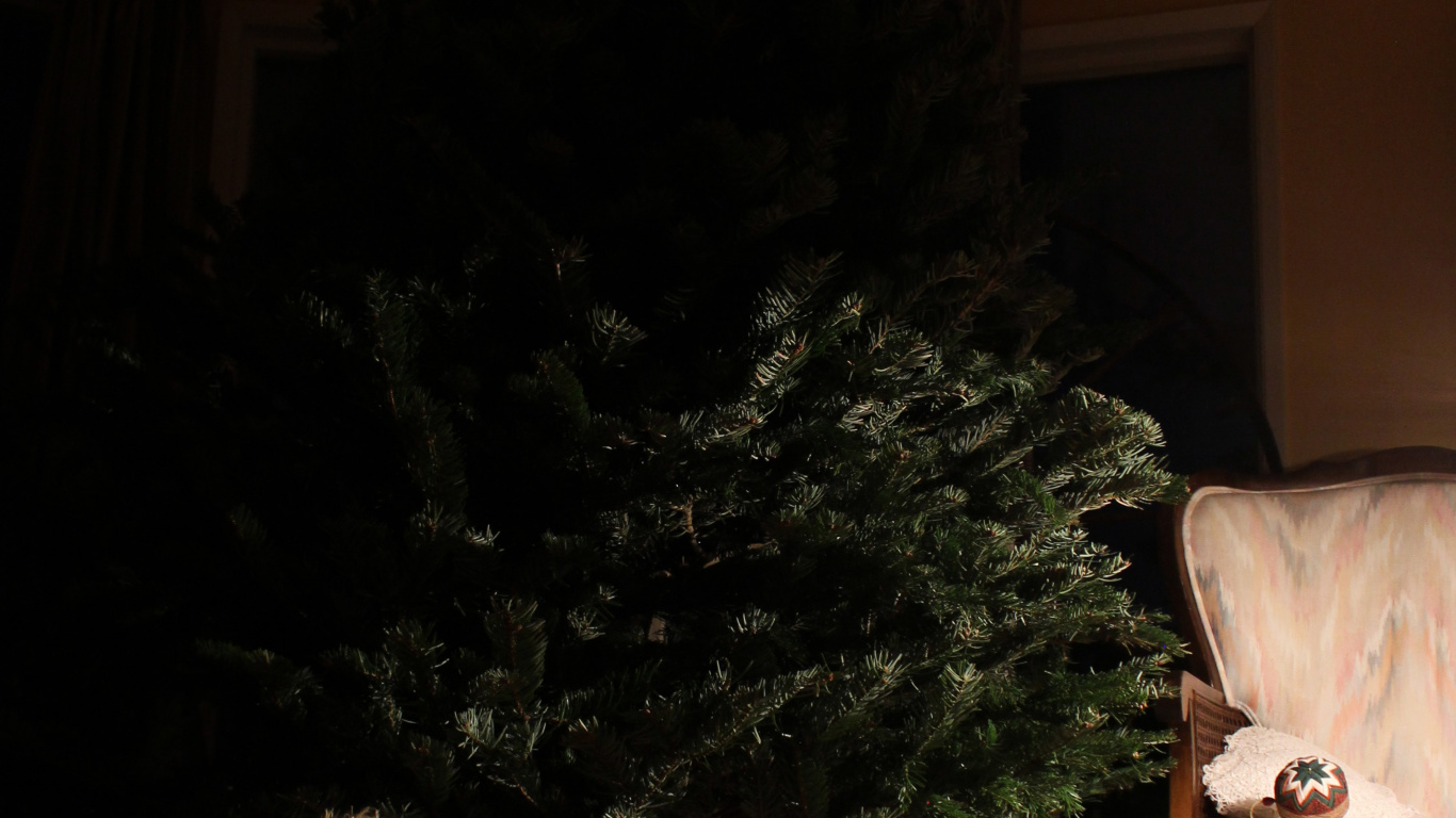 Árbol de Navidad Verde Junto al Sofá Blanco. Wallpaper in 1366x768 Resolution