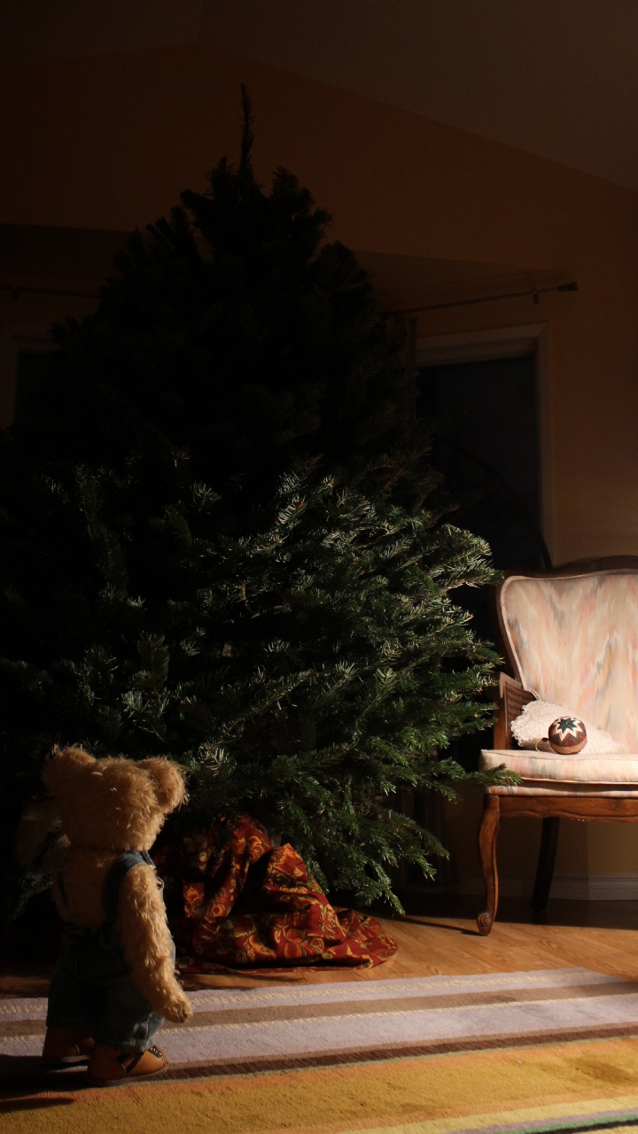 Green Christmas Tree Beside White Sofa. Wallpaper in 720x1280 Resolution