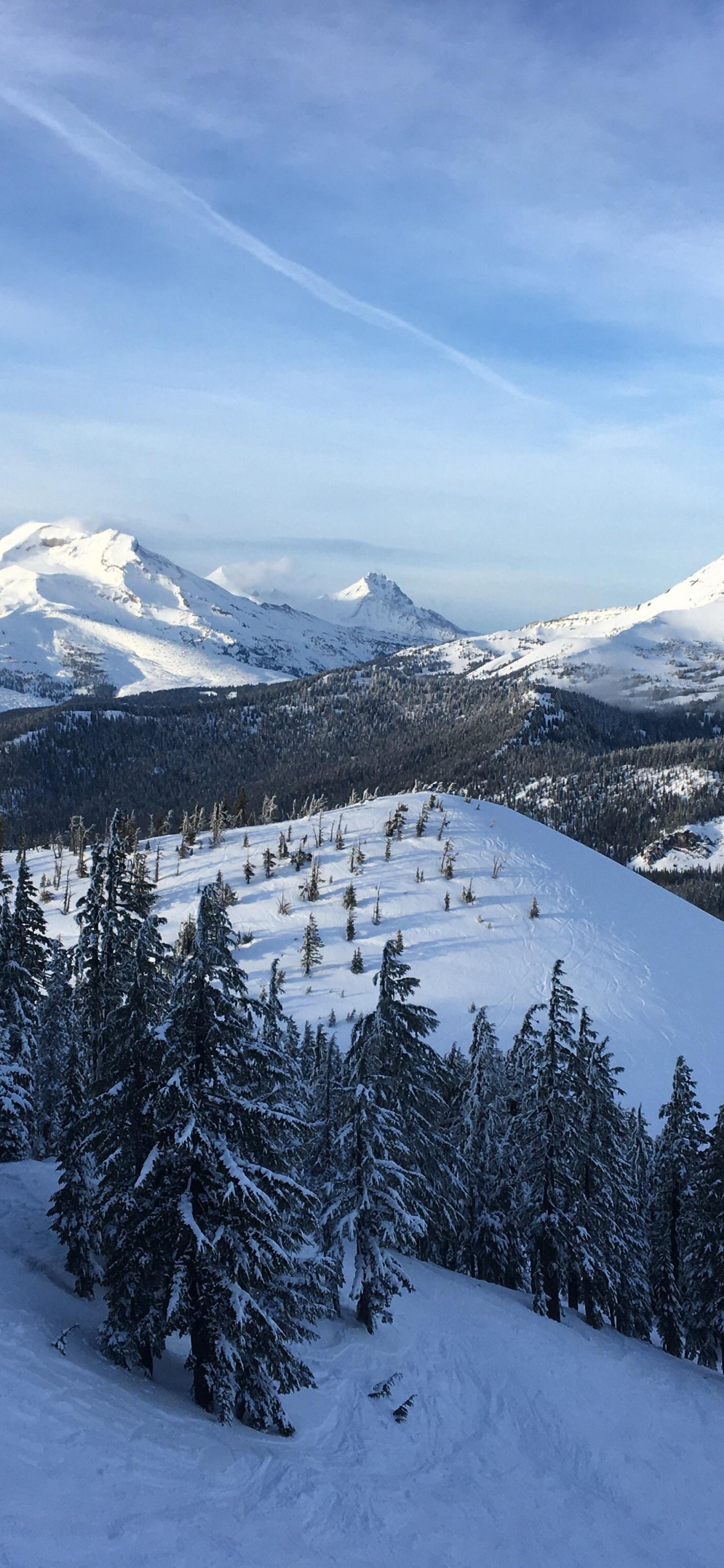 Mount Bachelor, el Monte Hood, Monte Shasta, Montaña, Nieve. Wallpaper in 1125x2436 Resolution