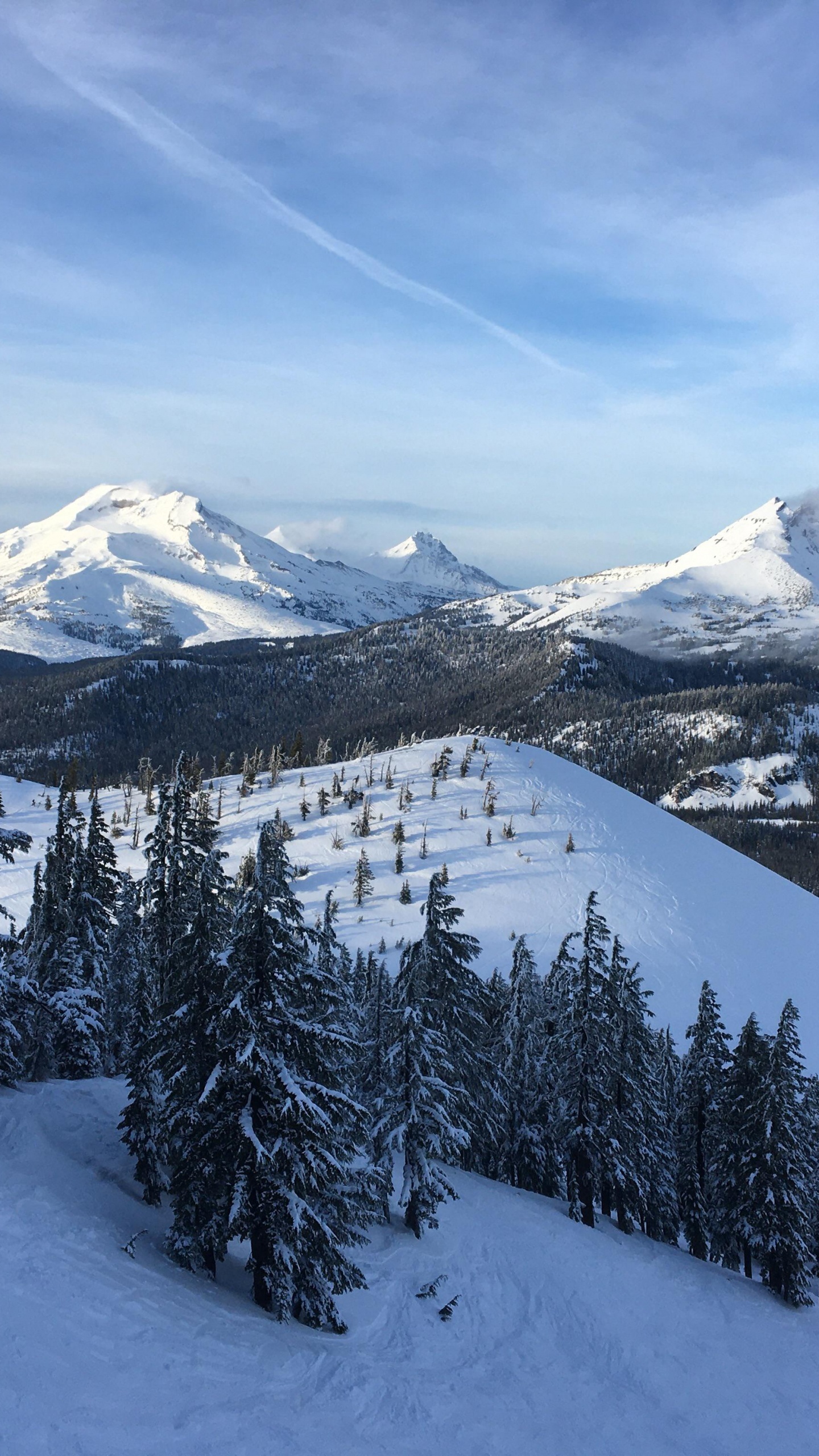 Mount Bachelor, el Monte Hood, Monte Shasta, Montaña, Nieve. Wallpaper in 1440x2560 Resolution