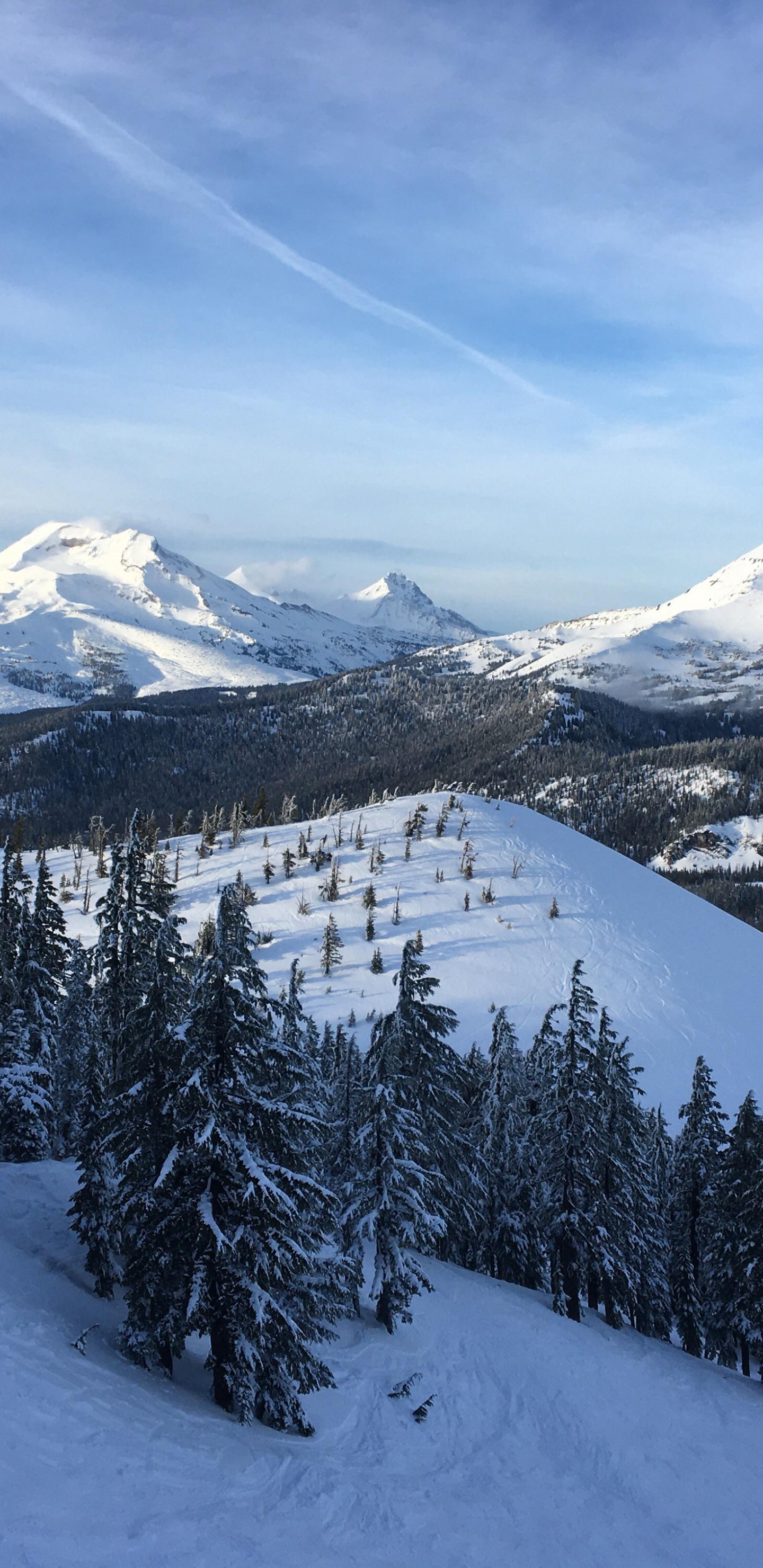 Mount Bachelor, Mount Hood, Mount Shasta, Cloud, Schnee. Wallpaper in 1440x2960 Resolution