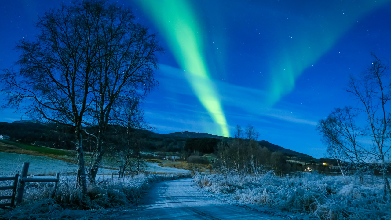 Bare Trees on Brown Field Under Blue Sky. Wallpaper in 1280x720 Resolution