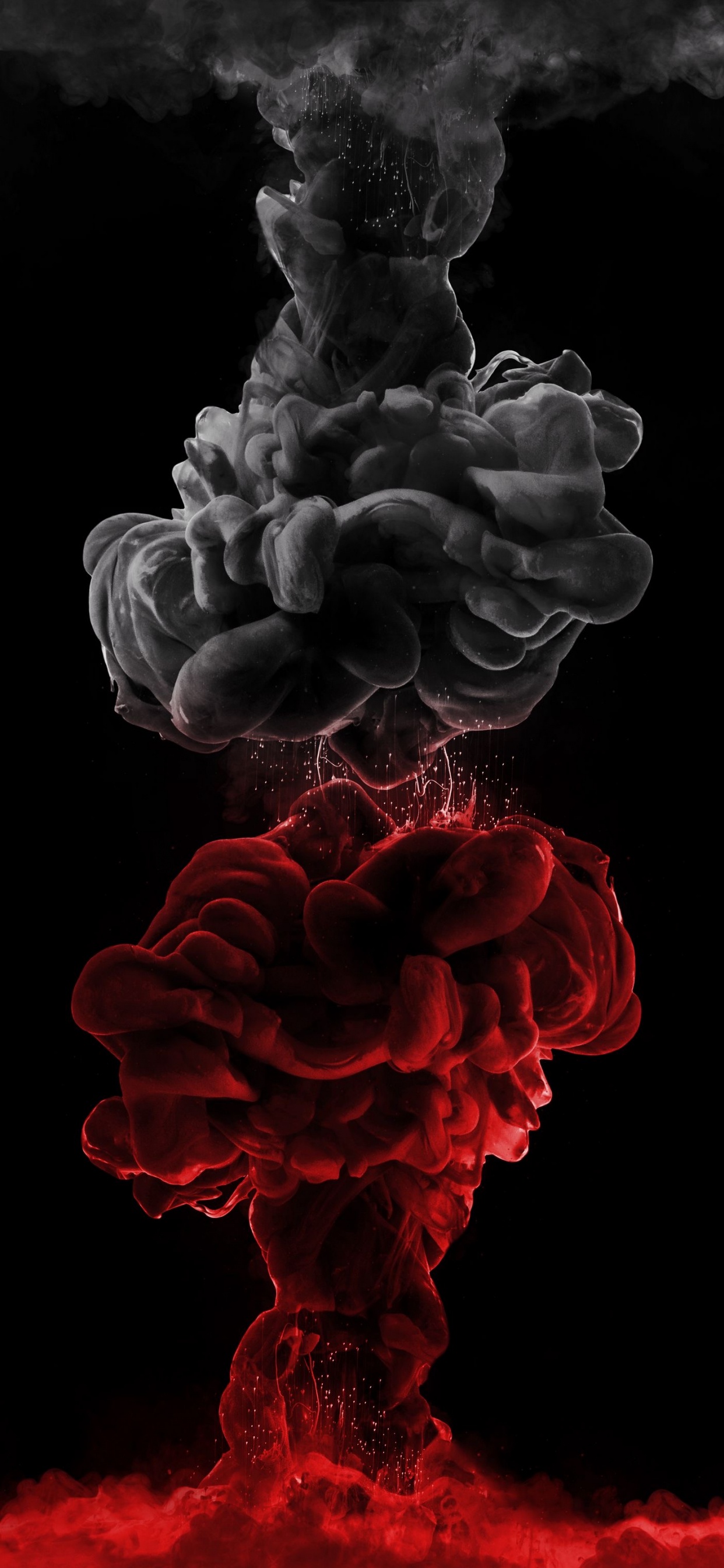 Petal, Gas, Pattern, Darkness, Rose Family. Wallpaper in 1242x2688 Resolution