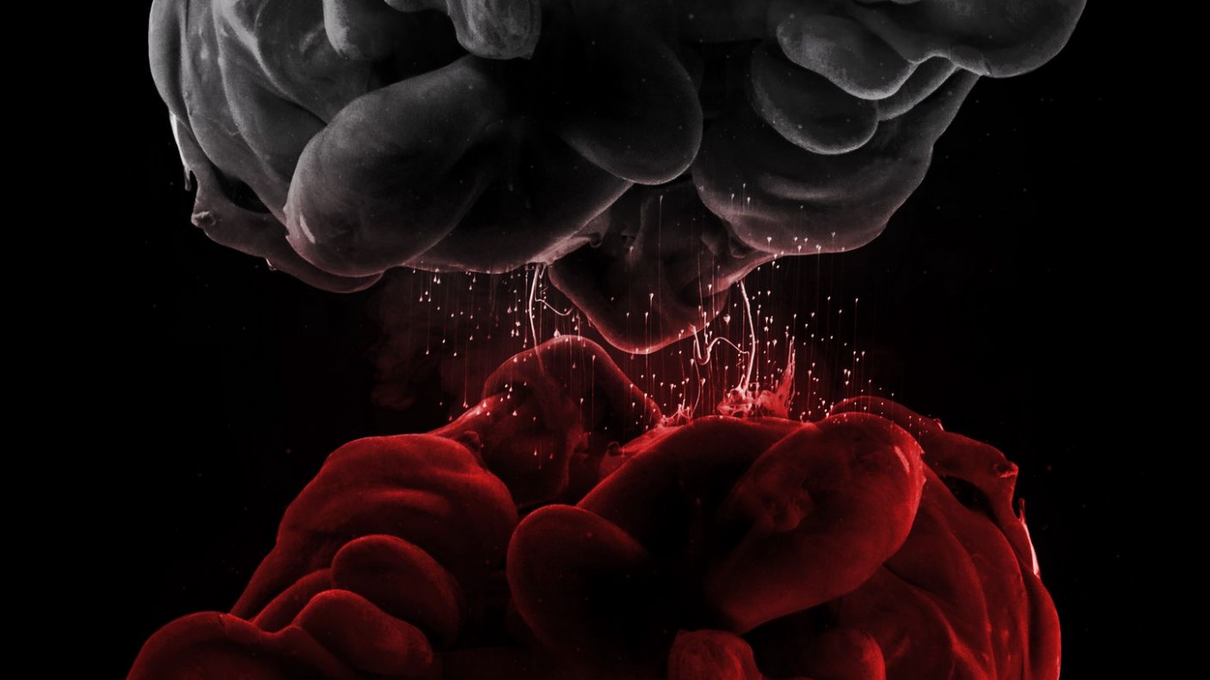 Petal, Gas, Pattern, Darkness, Rose Family. Wallpaper in 1366x768 Resolution