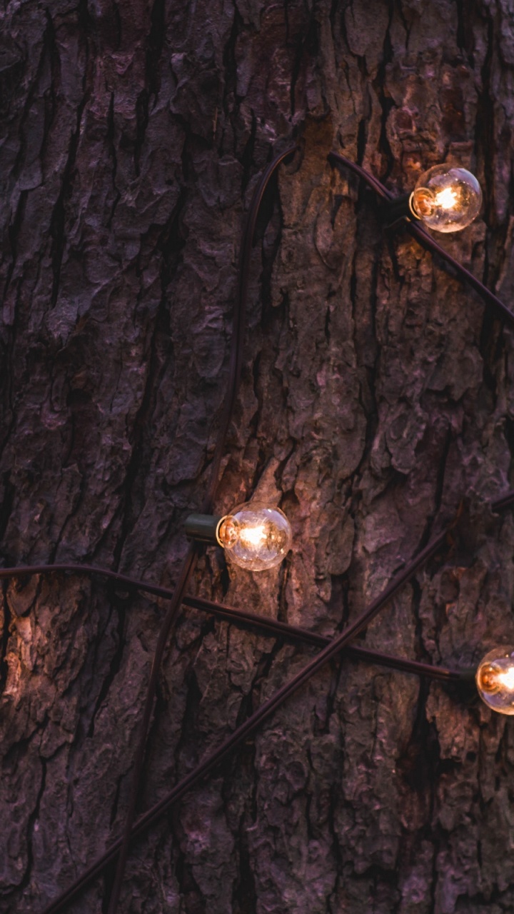 Weihnachtsbeleuchtung, Baum, Licht, Branch, Holz. Wallpaper in 720x1280 Resolution