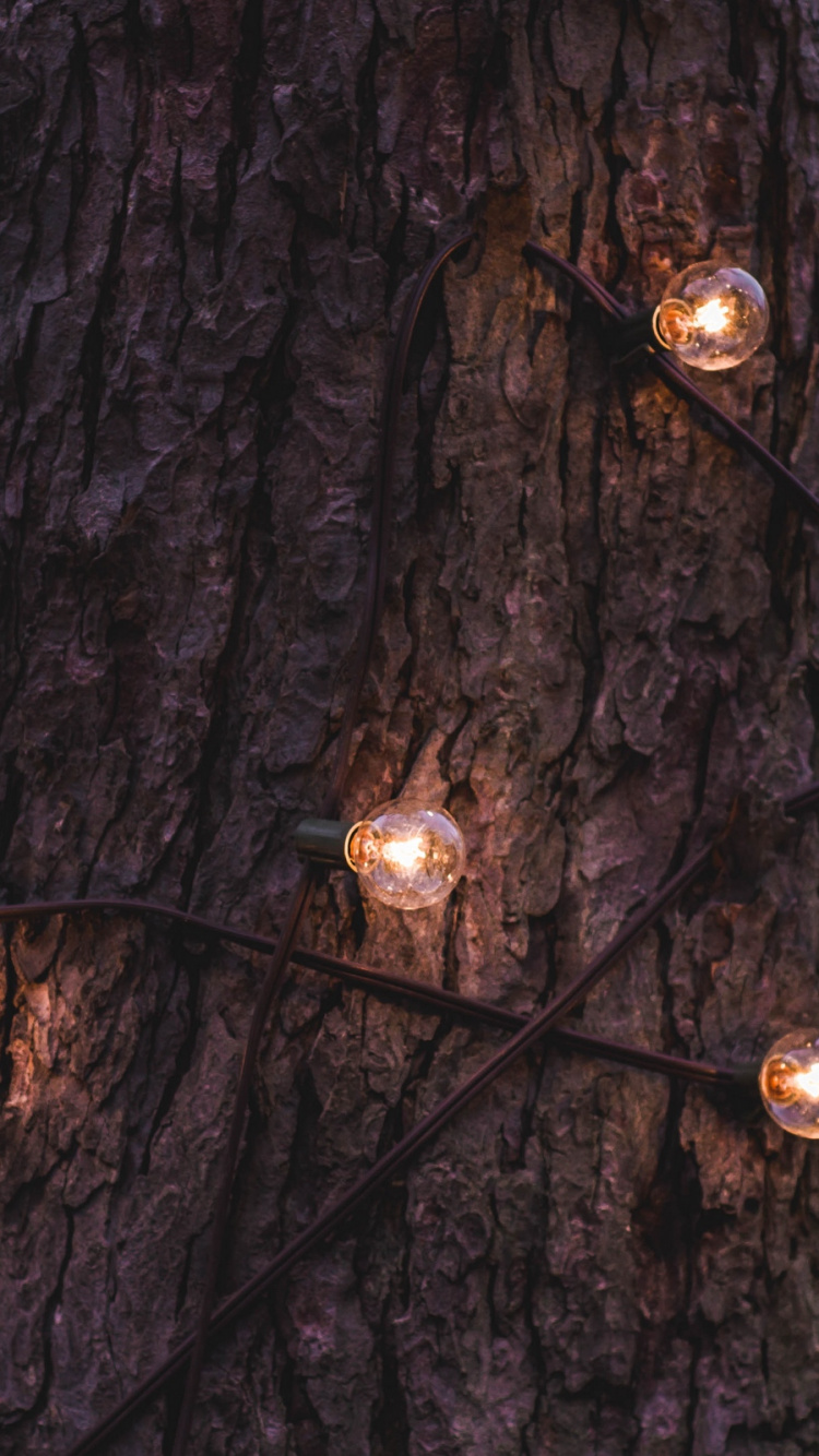 Weihnachtsbeleuchtung, Baum, Licht, Branch, Holz. Wallpaper in 750x1334 Resolution