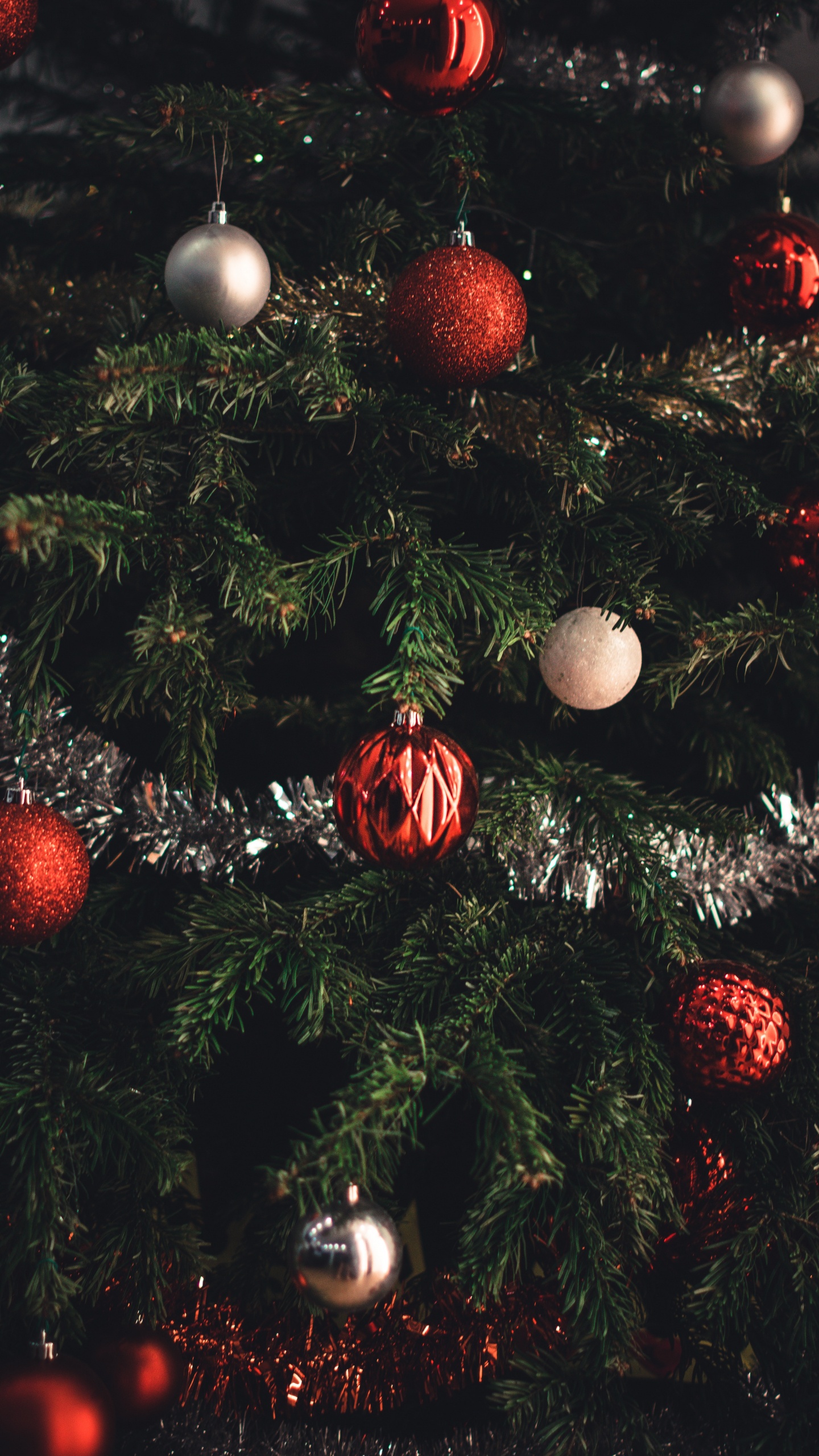 Christmas Tree, Christmas Day, New Year, Christmas Ornament, Christmas. Wallpaper in 1440x2560 Resolution