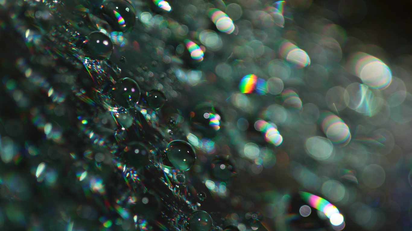 Wassertropfen Auf Glas Tagsüber. Wallpaper in 1366x768 Resolution