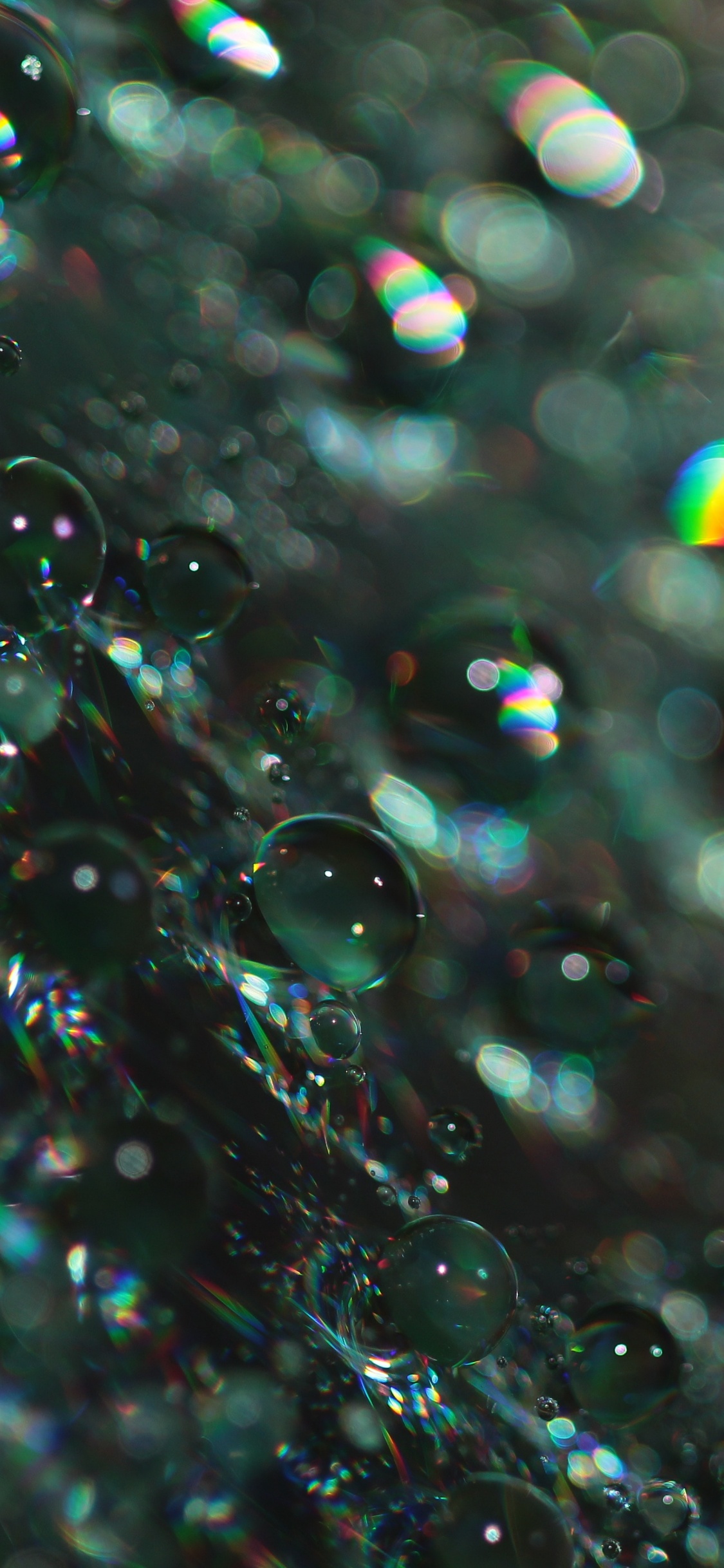 Water Droplets on Glass During Daytime. Wallpaper in 1125x2436 Resolution