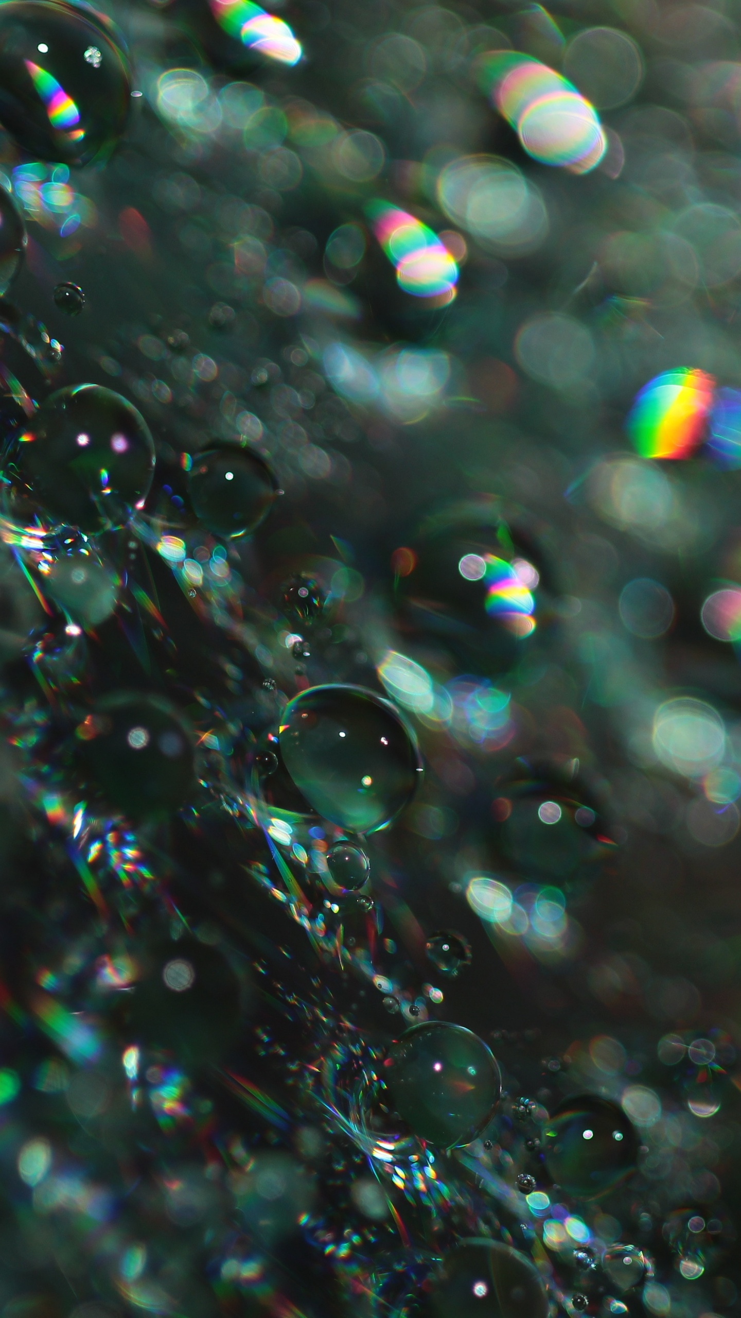 Water Droplets on Glass During Daytime. Wallpaper in 1440x2560 Resolution