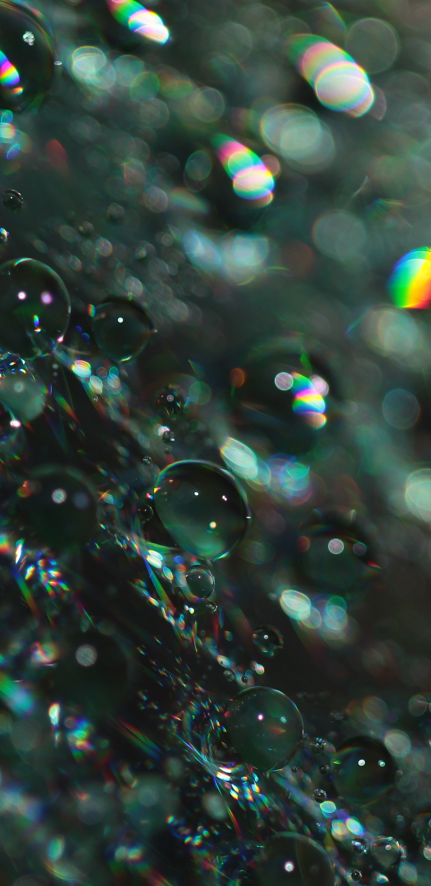 Water Droplets on Glass During Daytime. Wallpaper in 1440x2960 Resolution