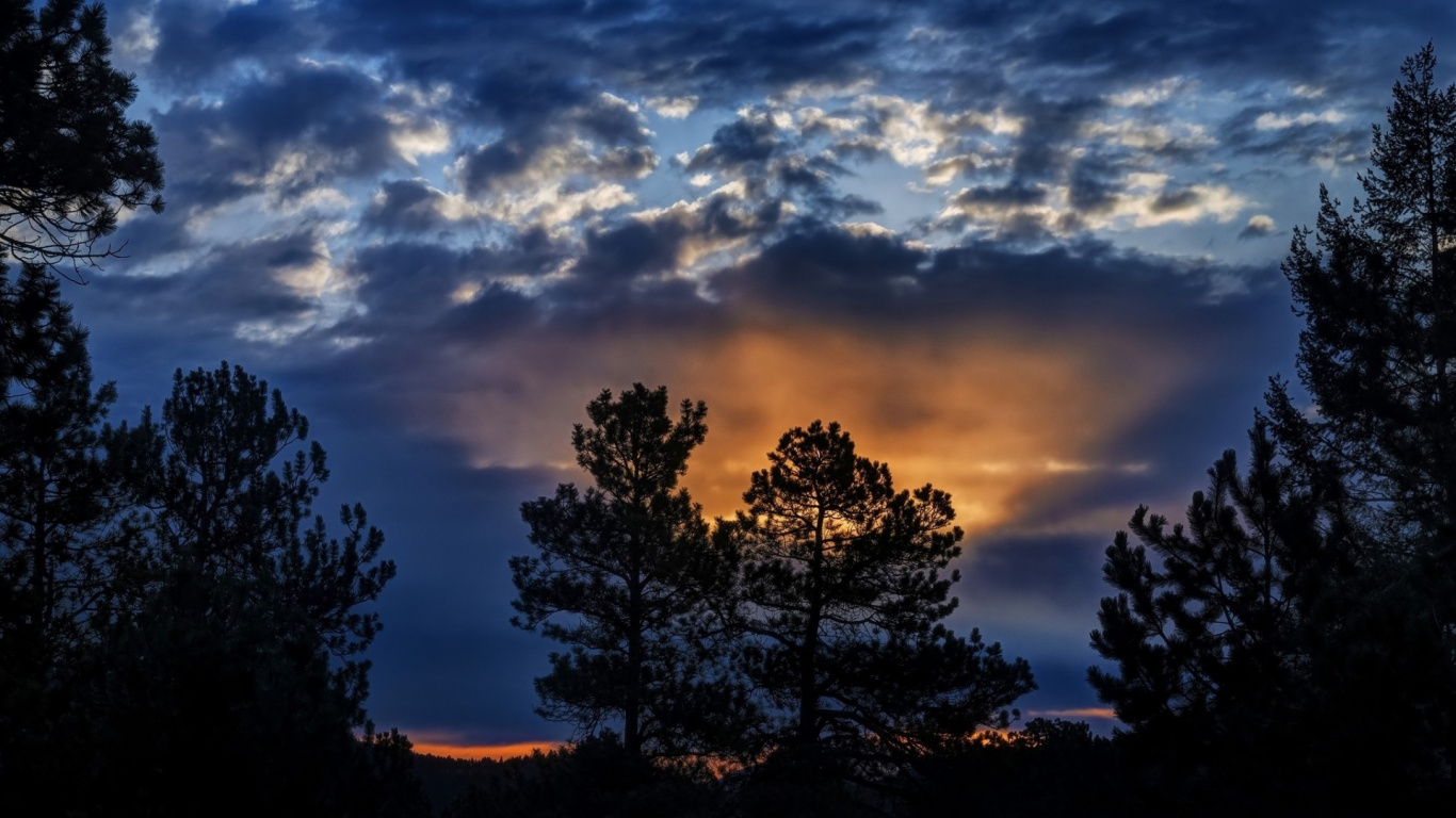Cloud, Atmosphere, Tree, Nature, Branch. Wallpaper in 1366x768 Resolution