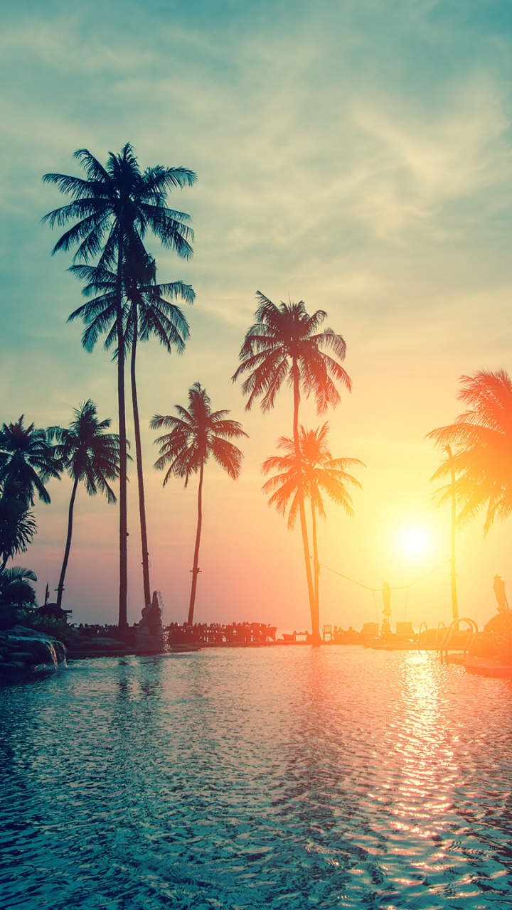 Coconut Trees Near Body of Water During Sunset. Wallpaper in 720x1280 Resolution