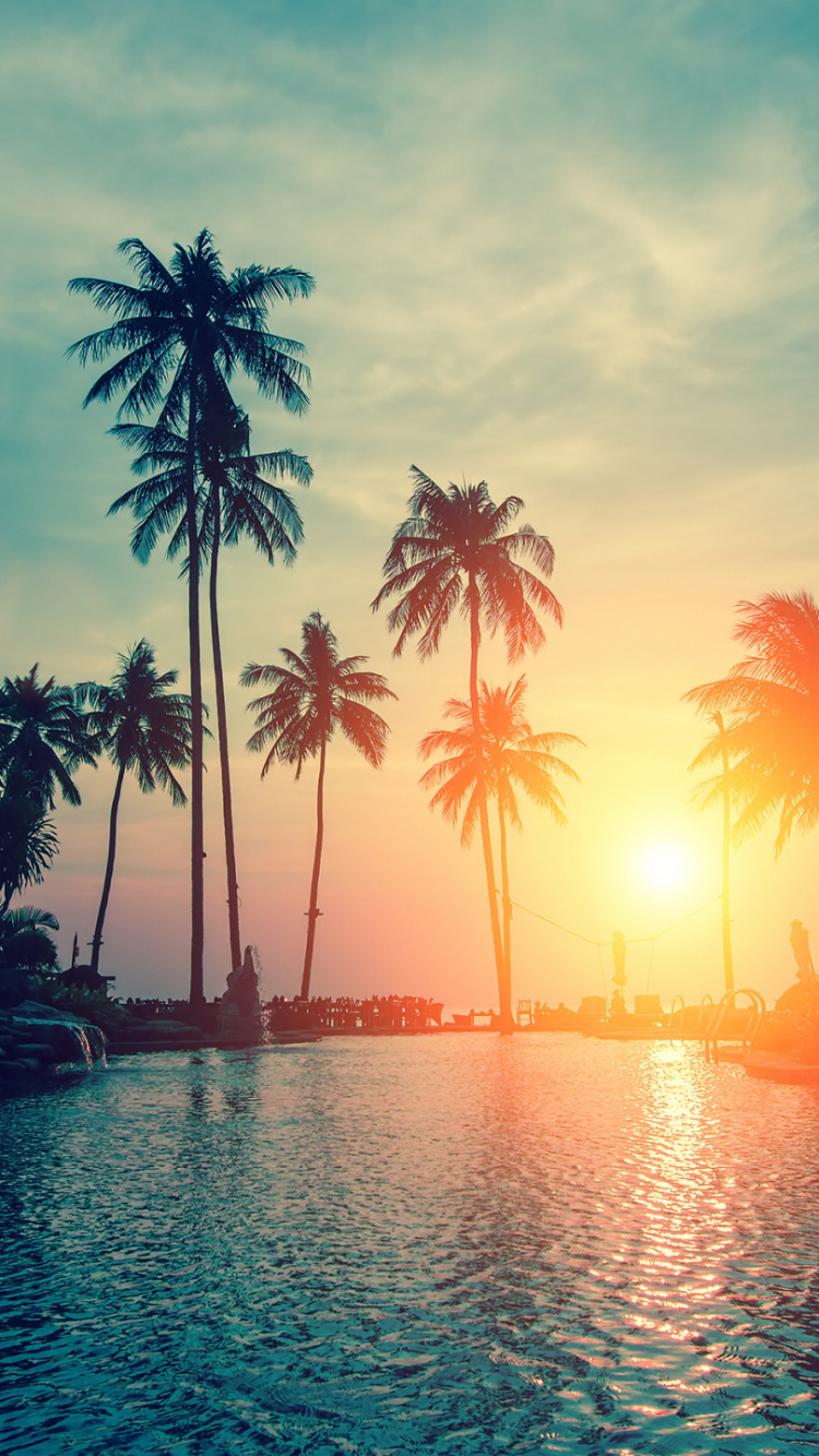 Coconut Trees Near Body of Water During Sunset. Wallpaper in 750x1334 Resolution