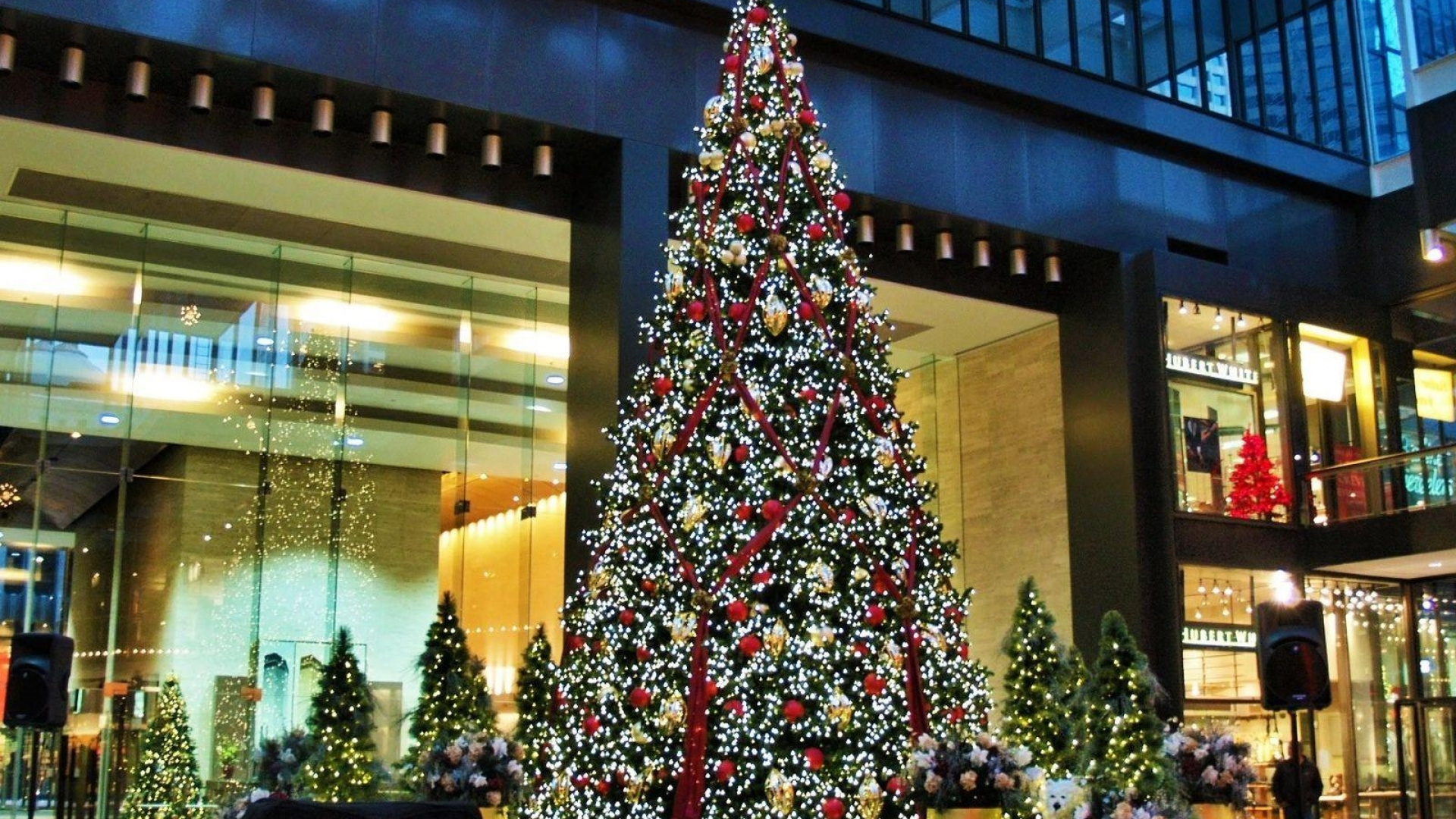 Arbre de Noël, Décoration de Noël, Les Lumières de Noël, Sapin, Nouvelle Année. Wallpaper in 1920x1080 Resolution